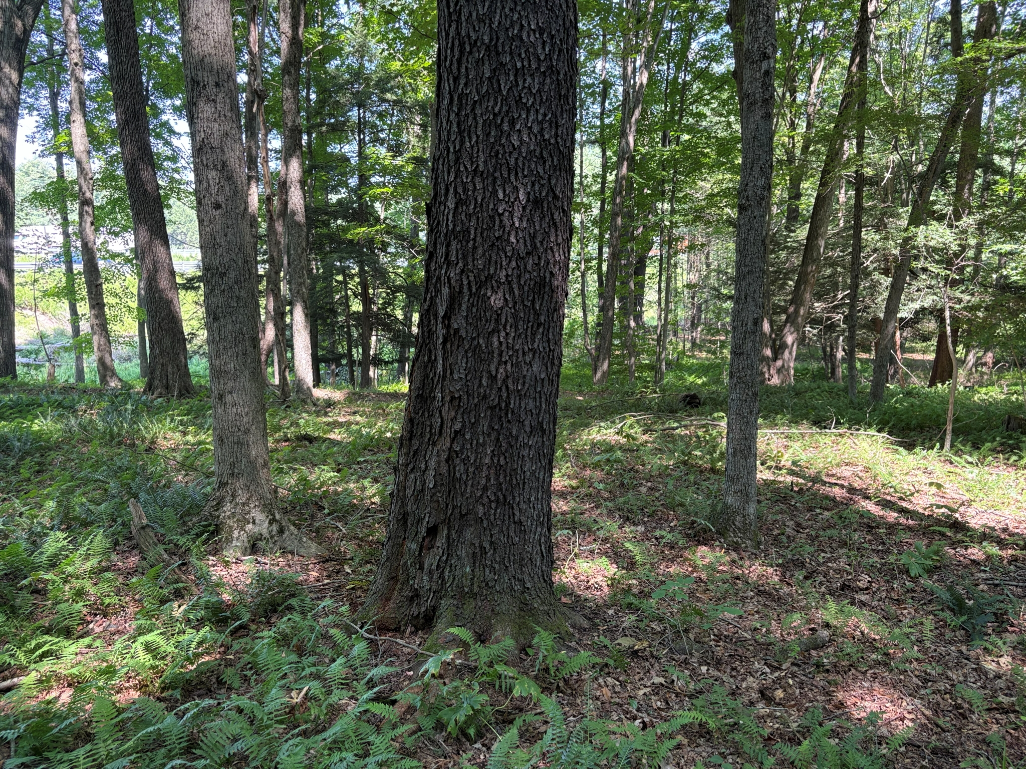 Listing Image 28