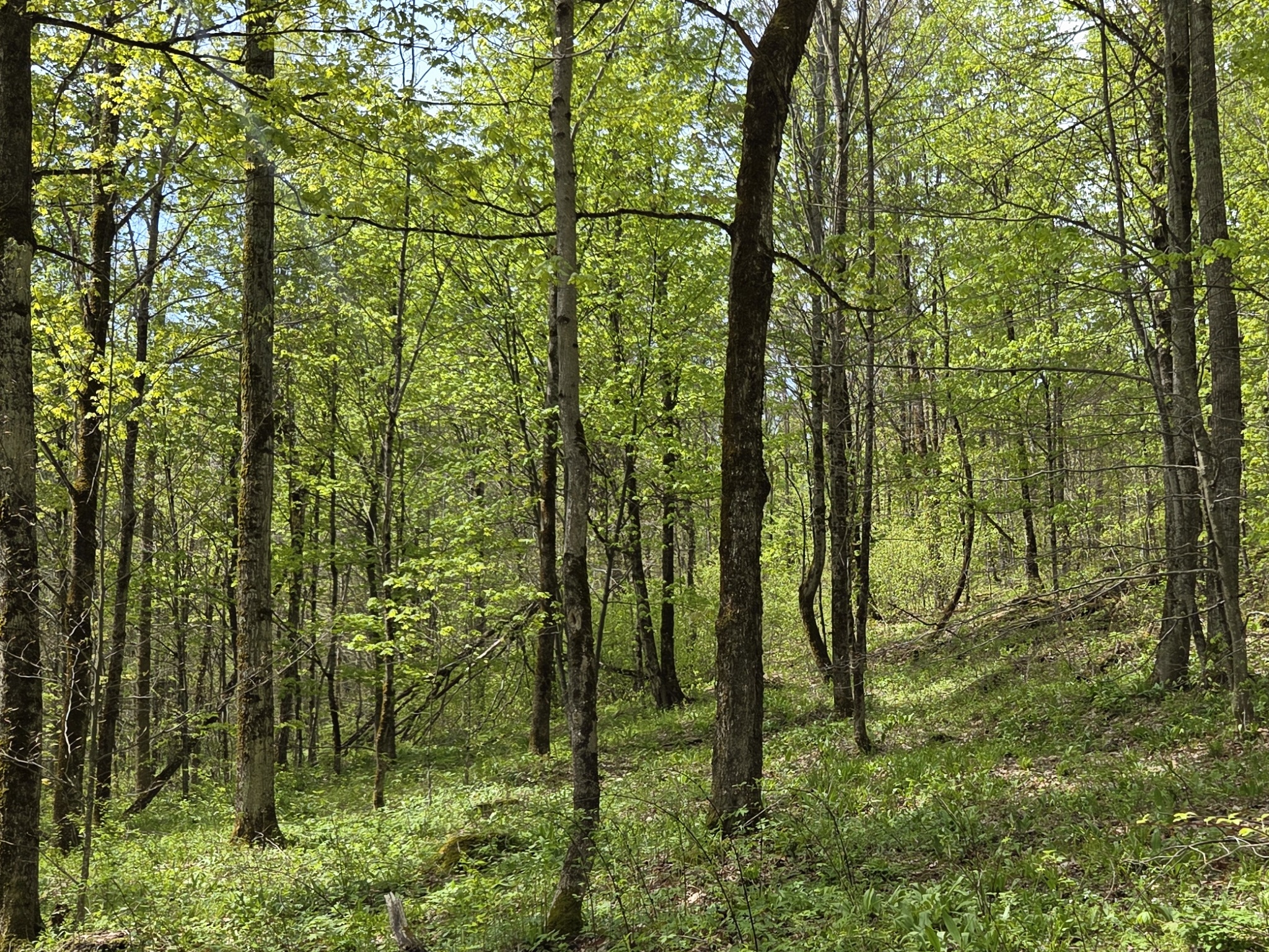 Listing Image 32