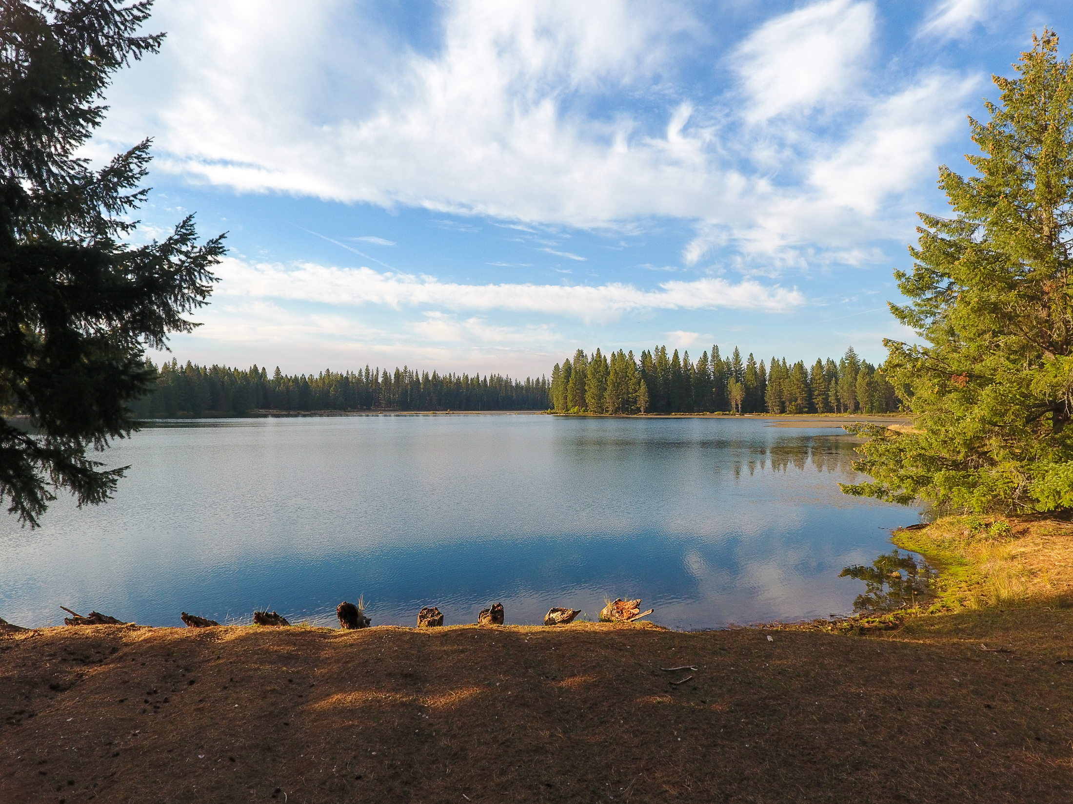 Medco Pond- Recreational Retreat