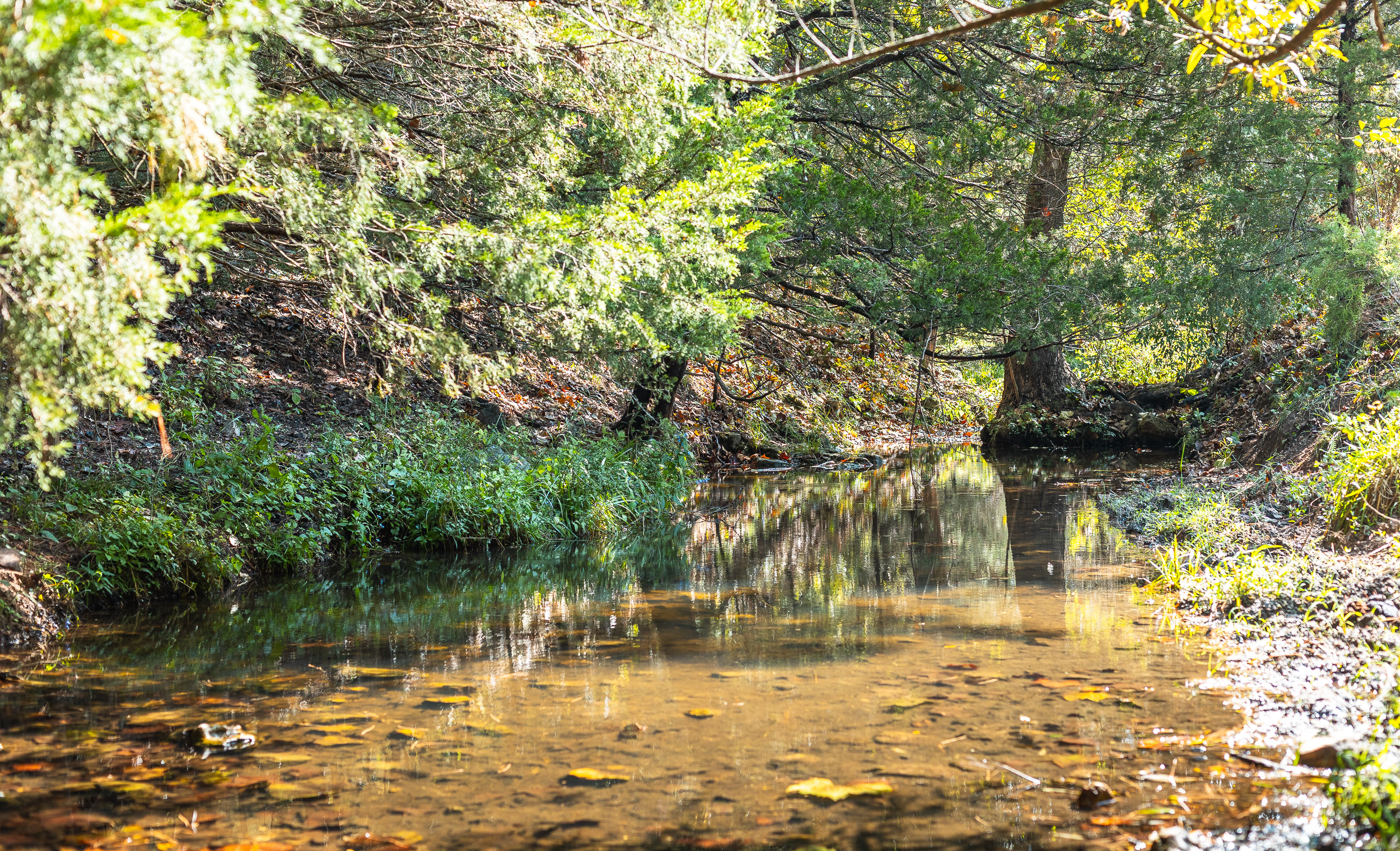 Ashley Creek Ranch 329
