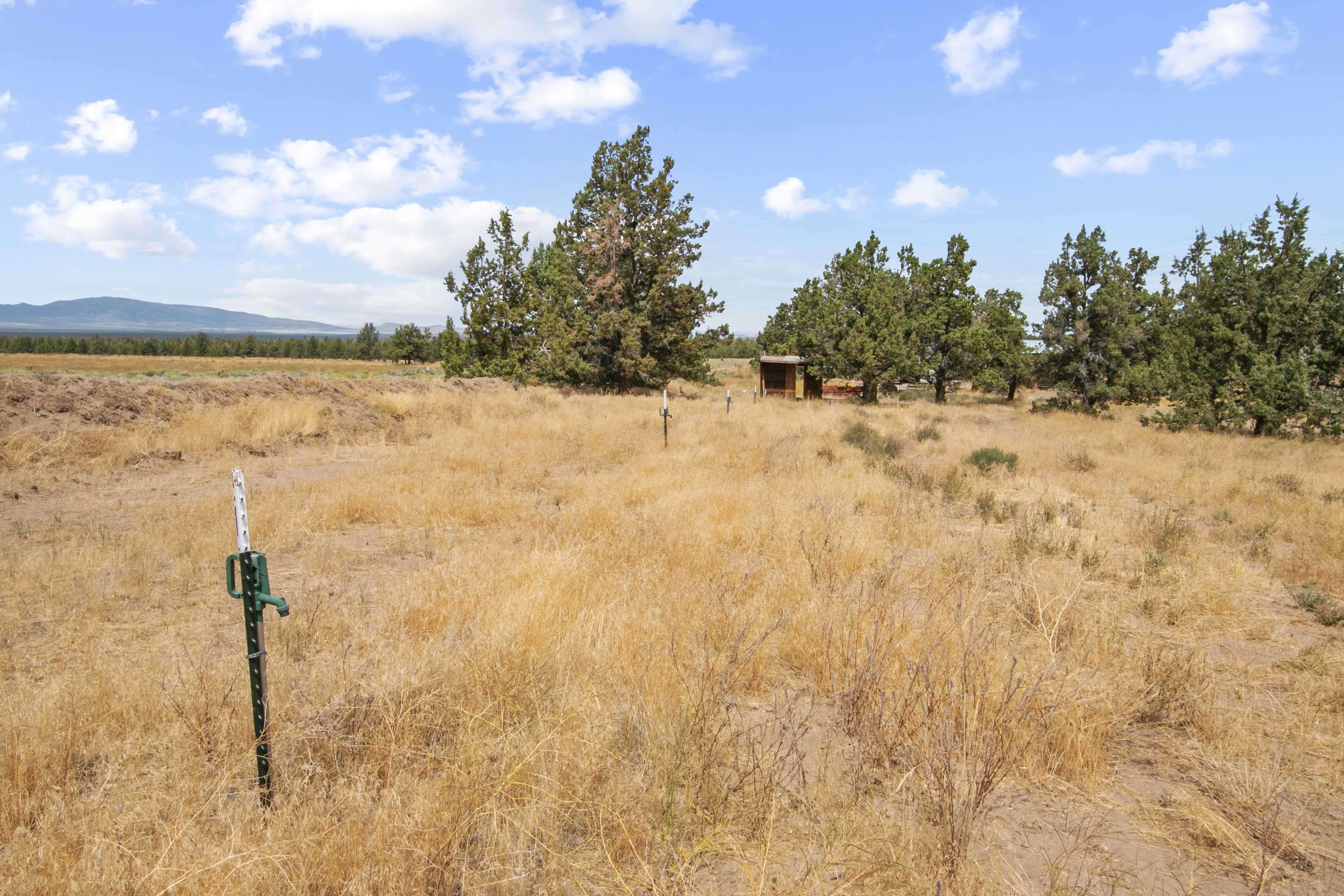 Listing Image 28