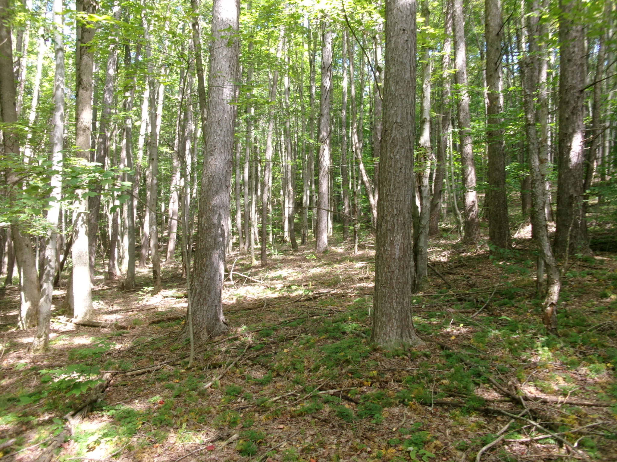 Listing Image 39