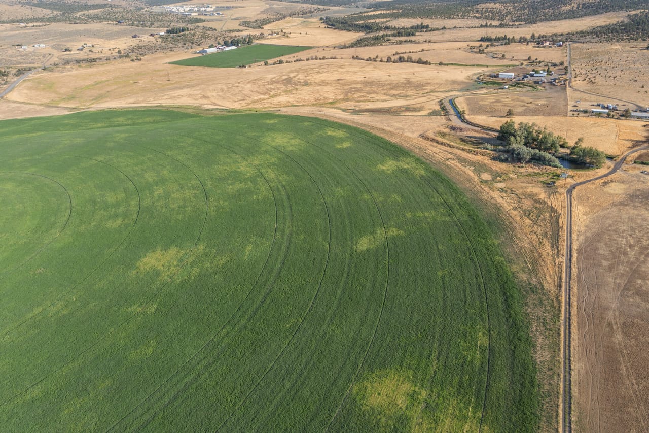 NE Cherry Lane - Productive Irrigated Farm for Sale
