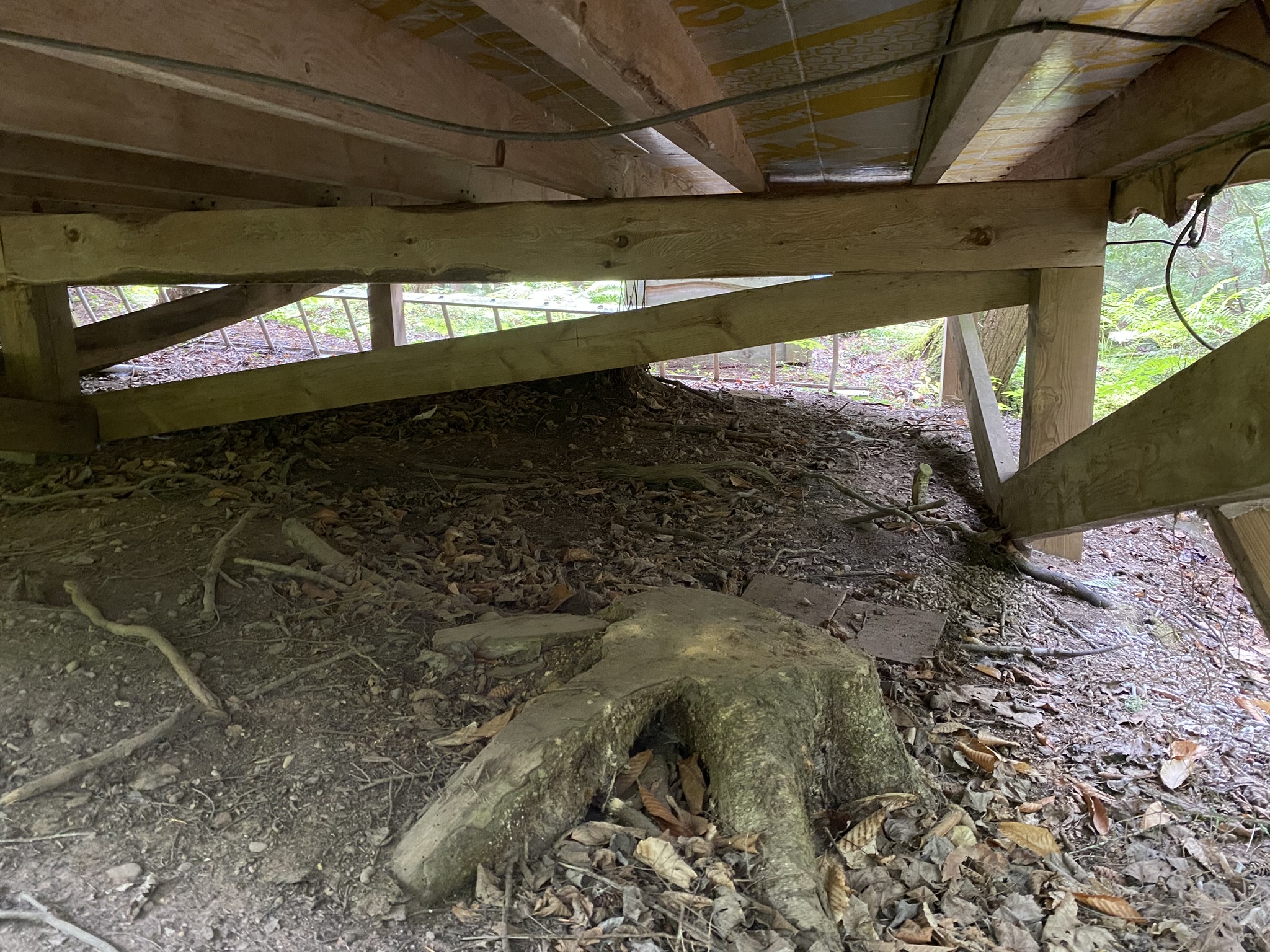 Cabin on the Little River