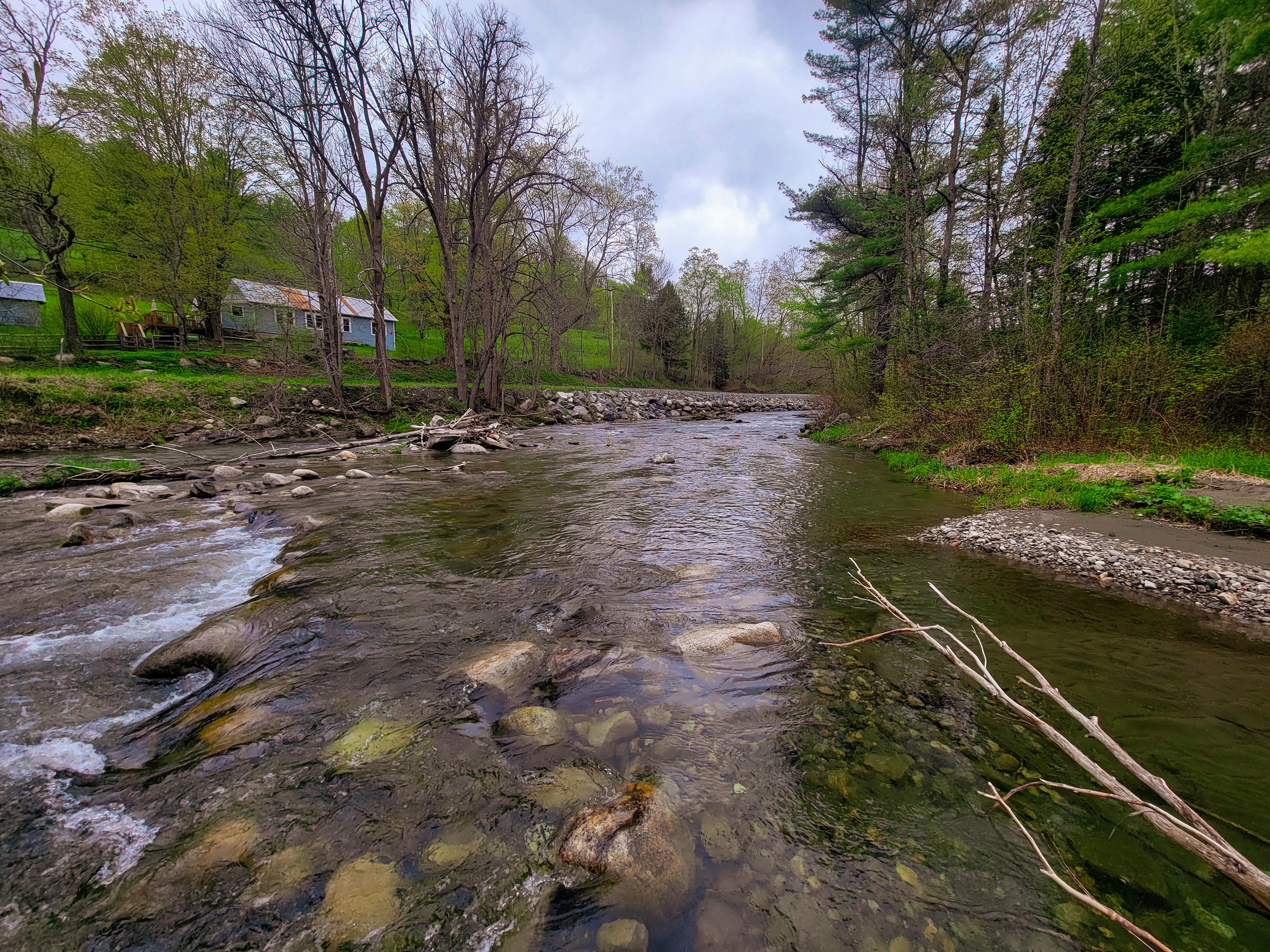 12 Meadowbrook Ln - Chelsea