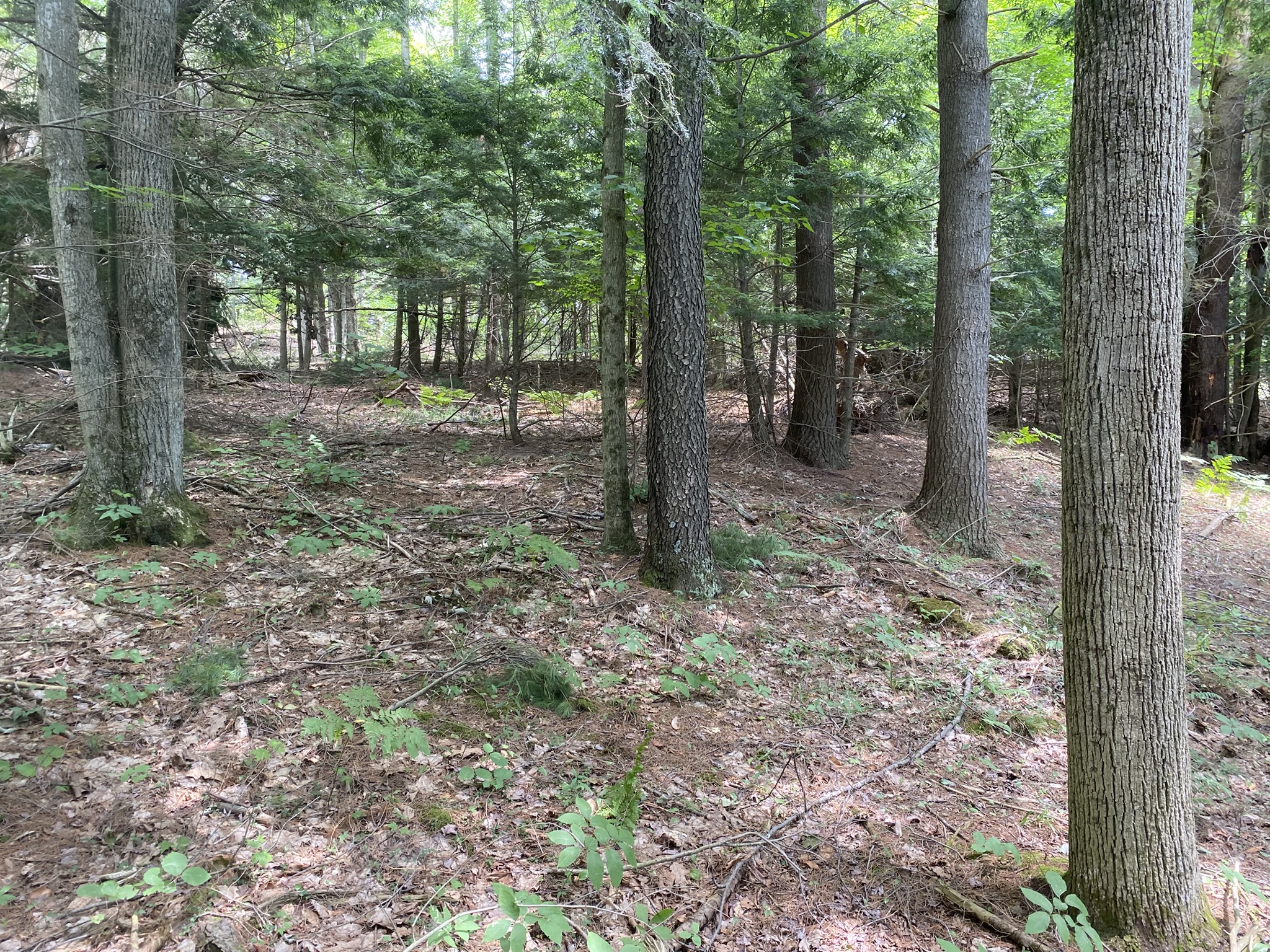Listing Image 72