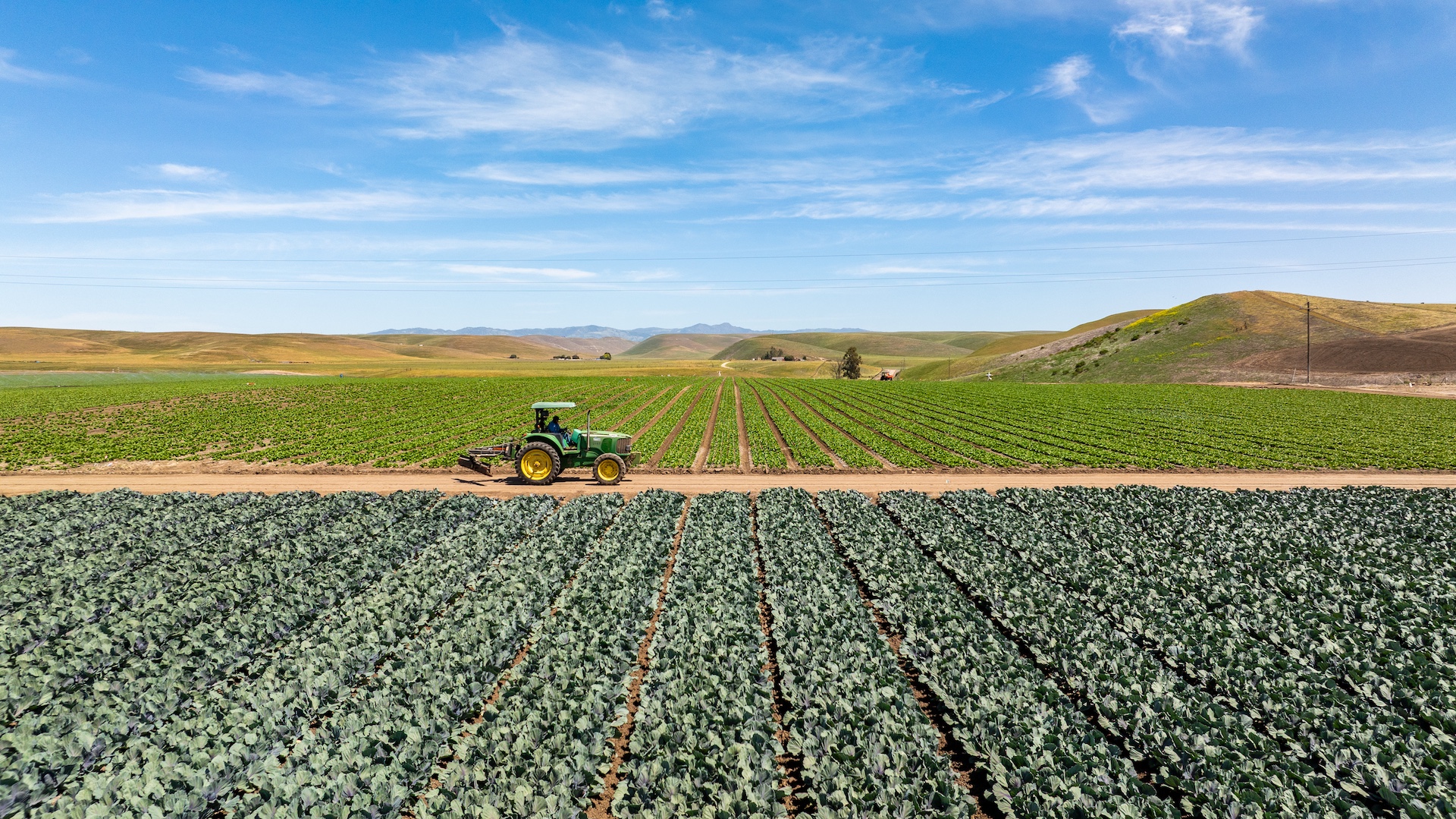 Reynolds Land & Cattle Co. Farmland