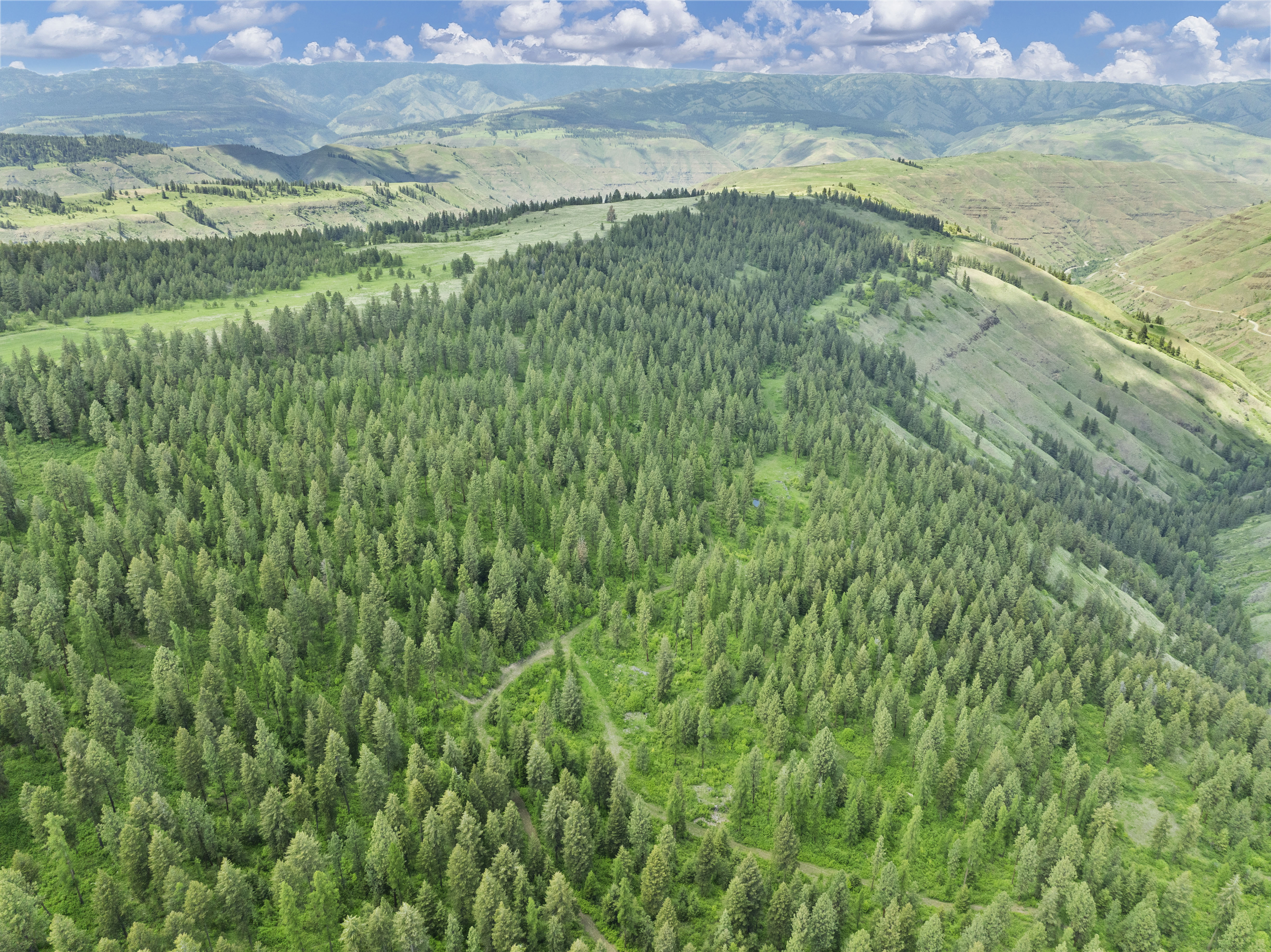 Buford Ridge Ranch