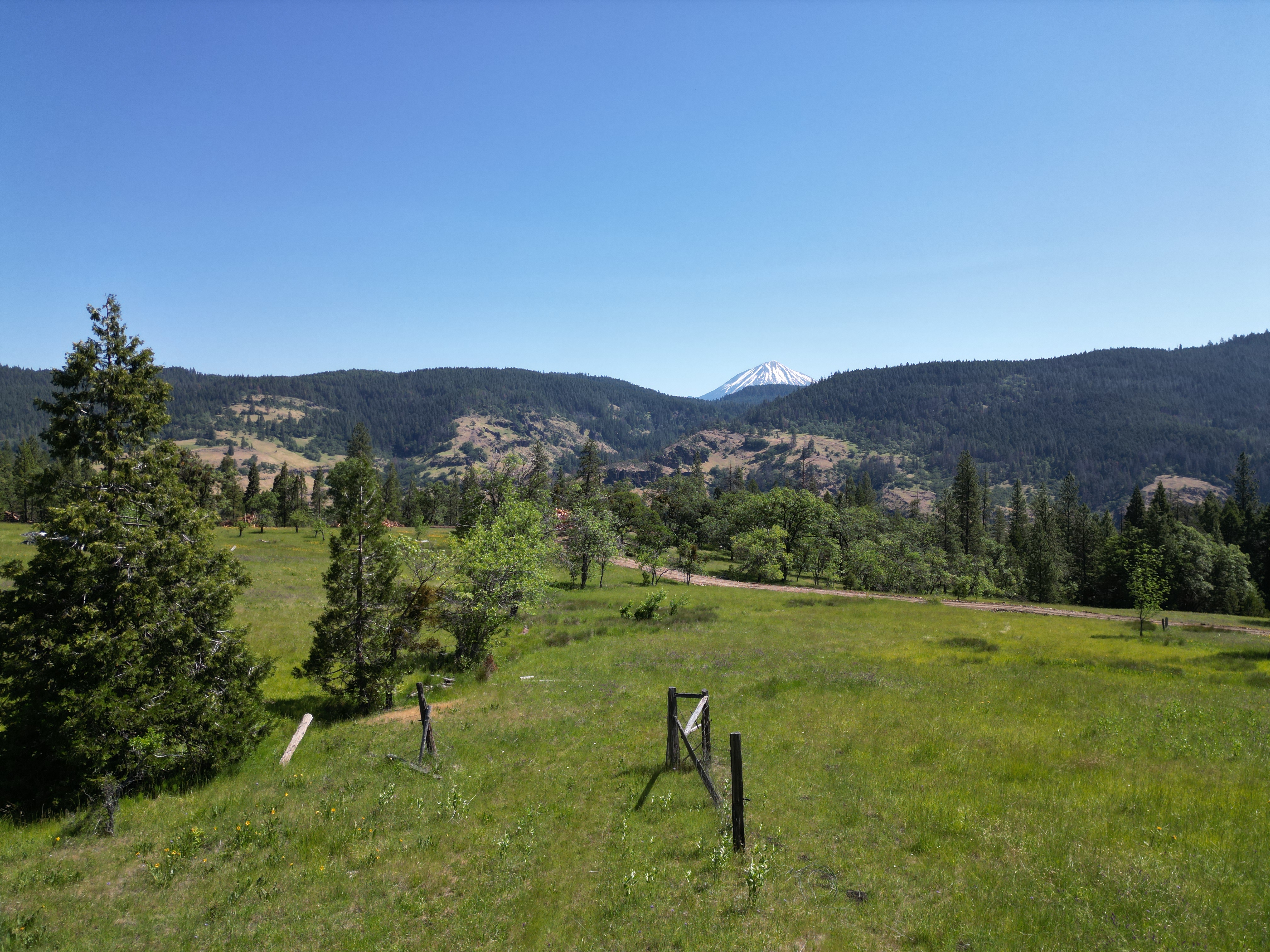 North Fork Timber