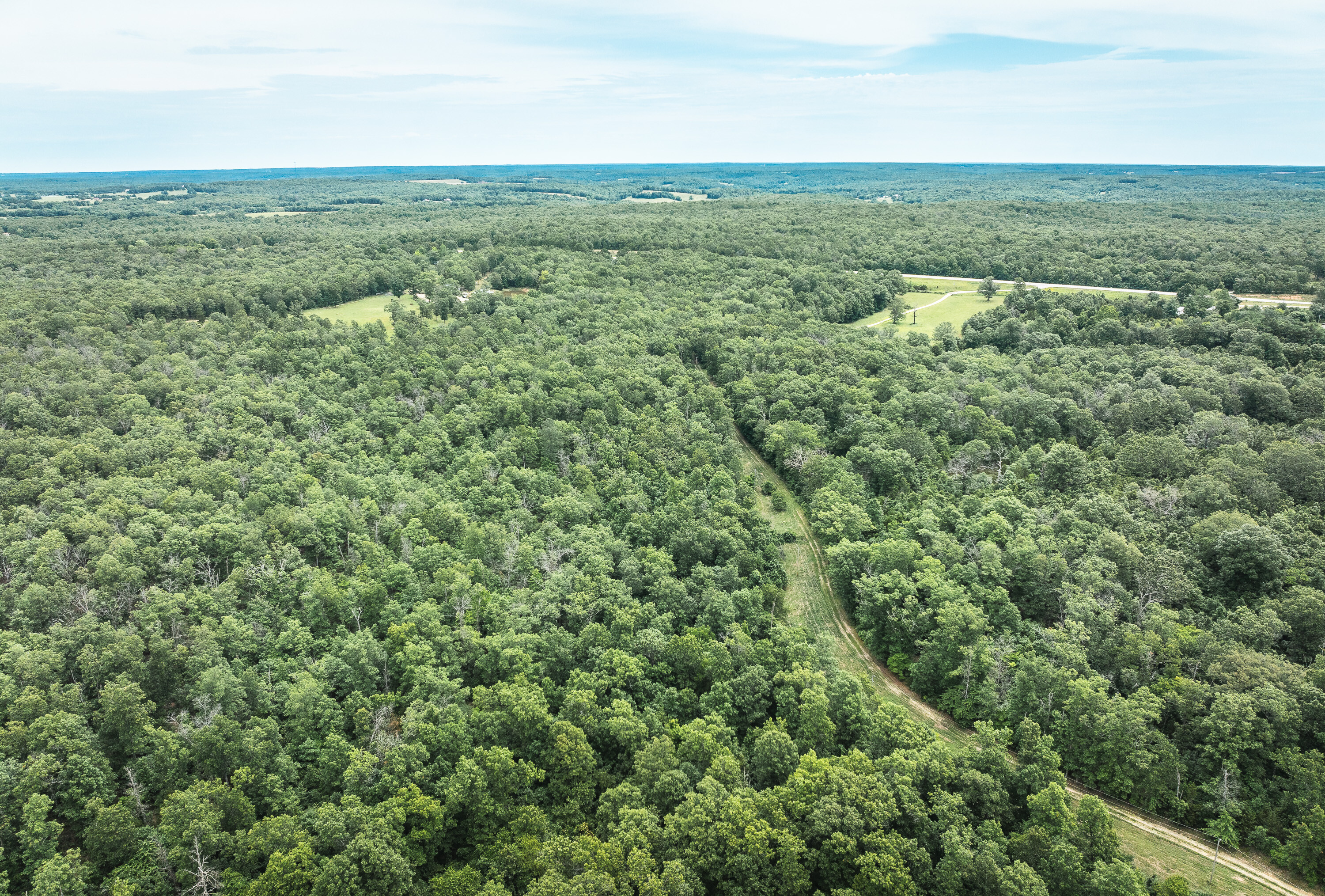 Phelps County Land & Timber 2 Tracts