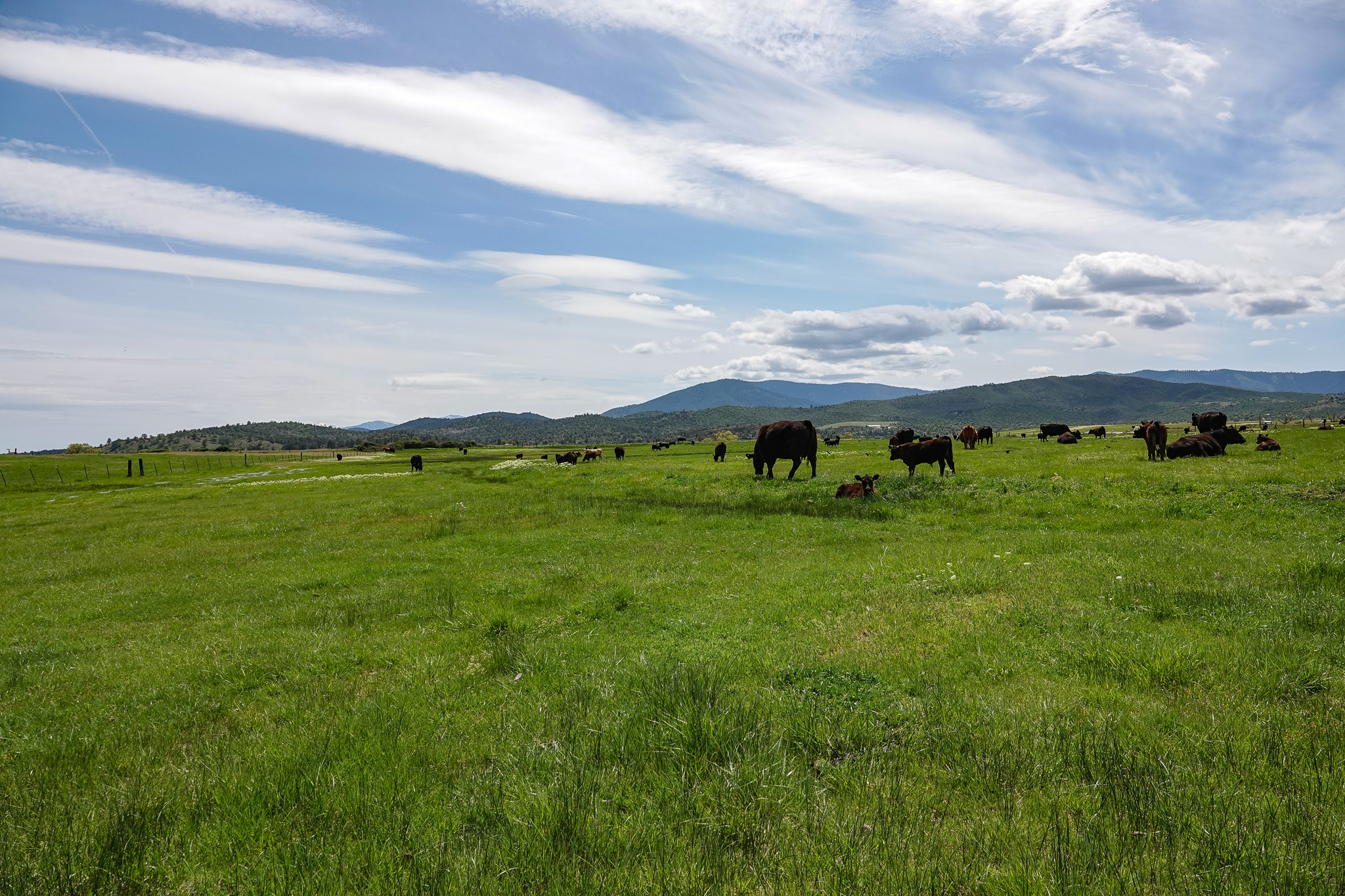 Lorenzini Ranch