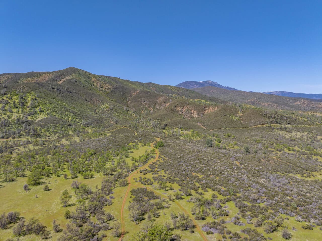 Listing Image 80