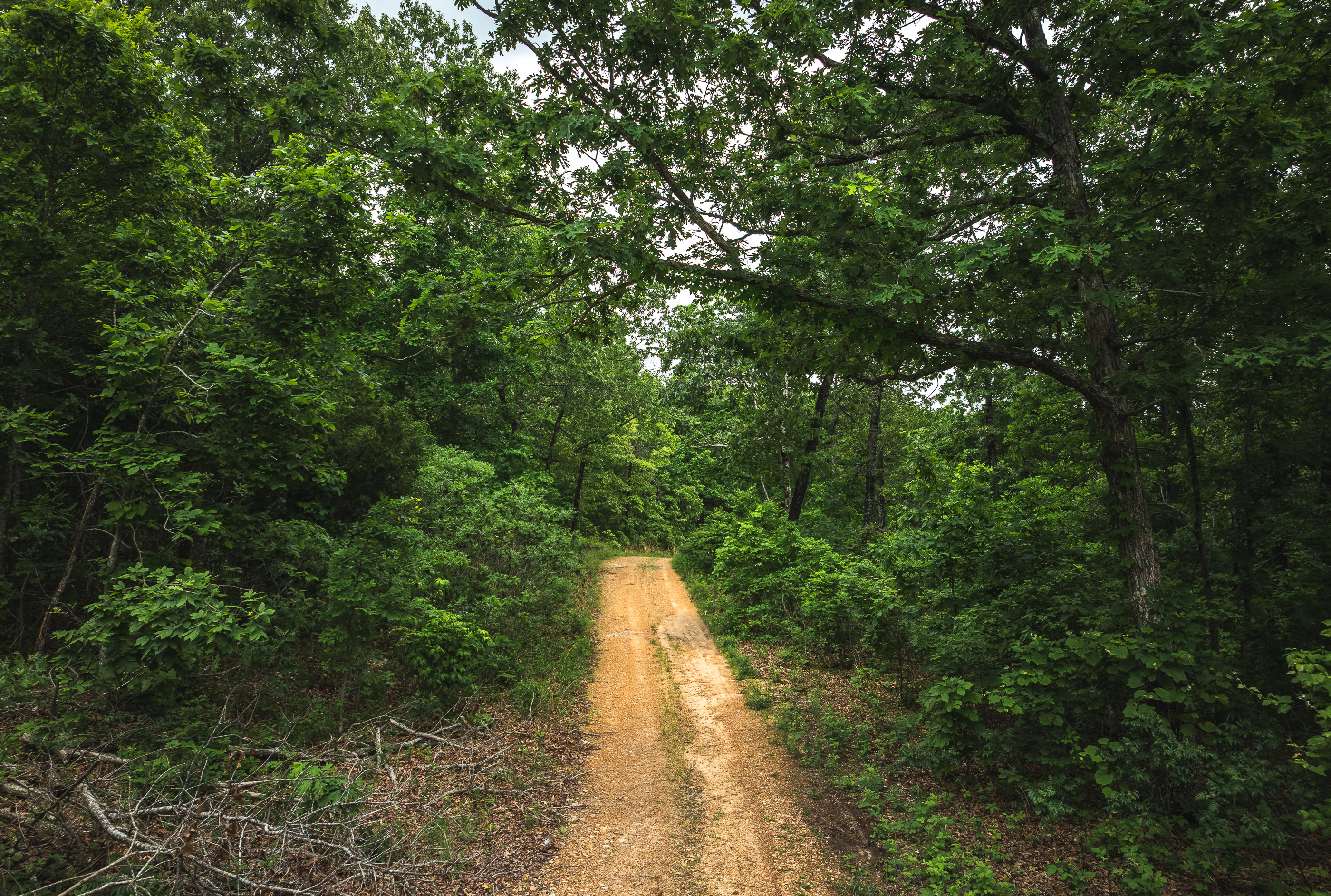 Pine Hollow Sportsmen