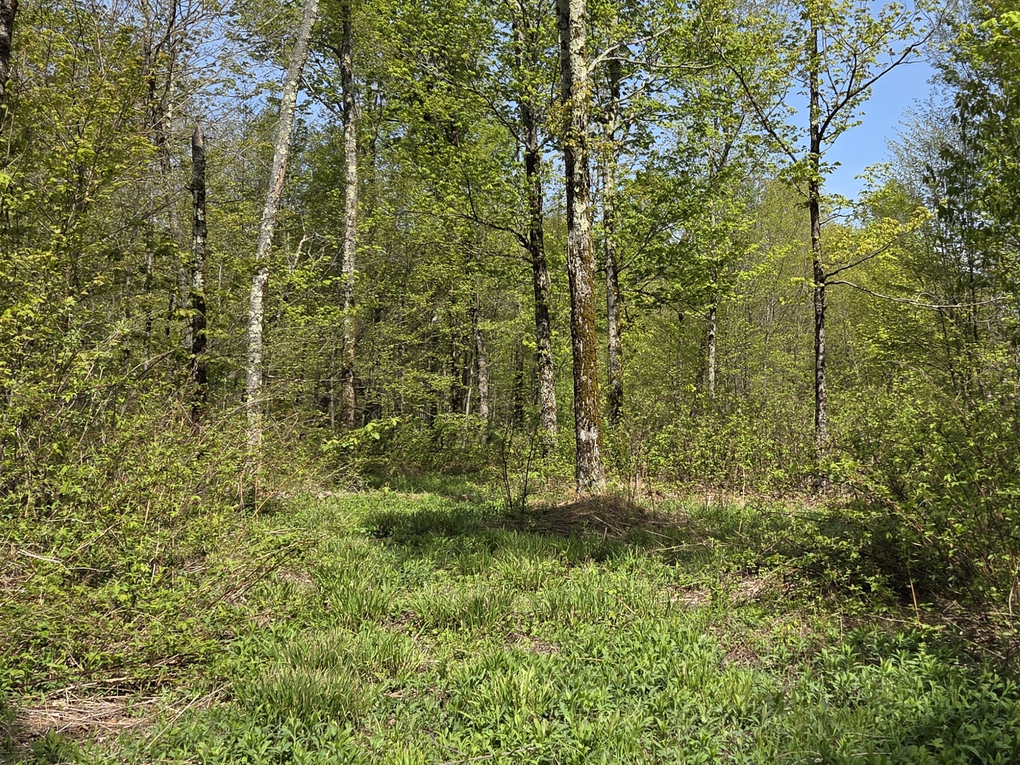 Listing Image 33