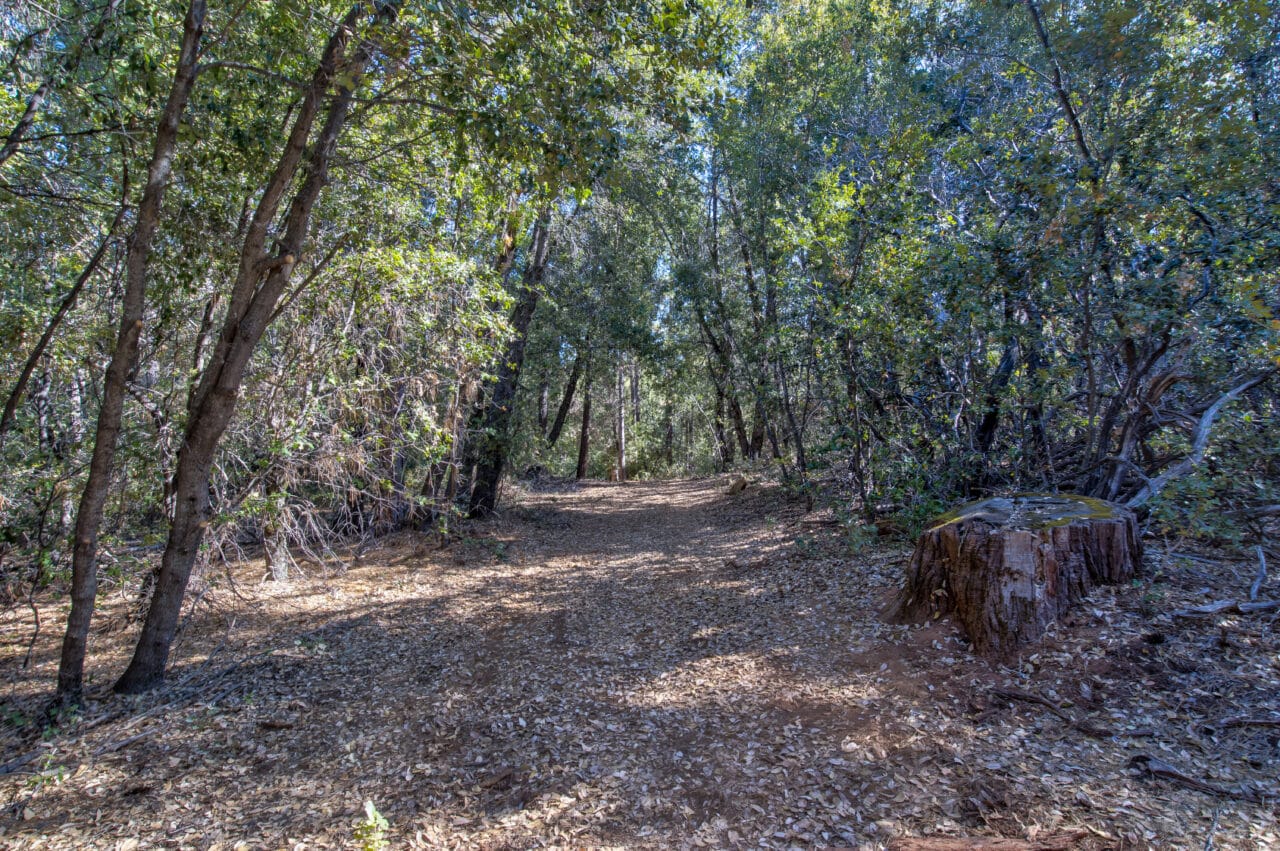 Listing Image 58