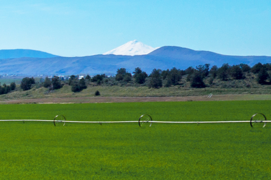 ORGANIC CROPLAND WITH POTENTIAL HOME SITE