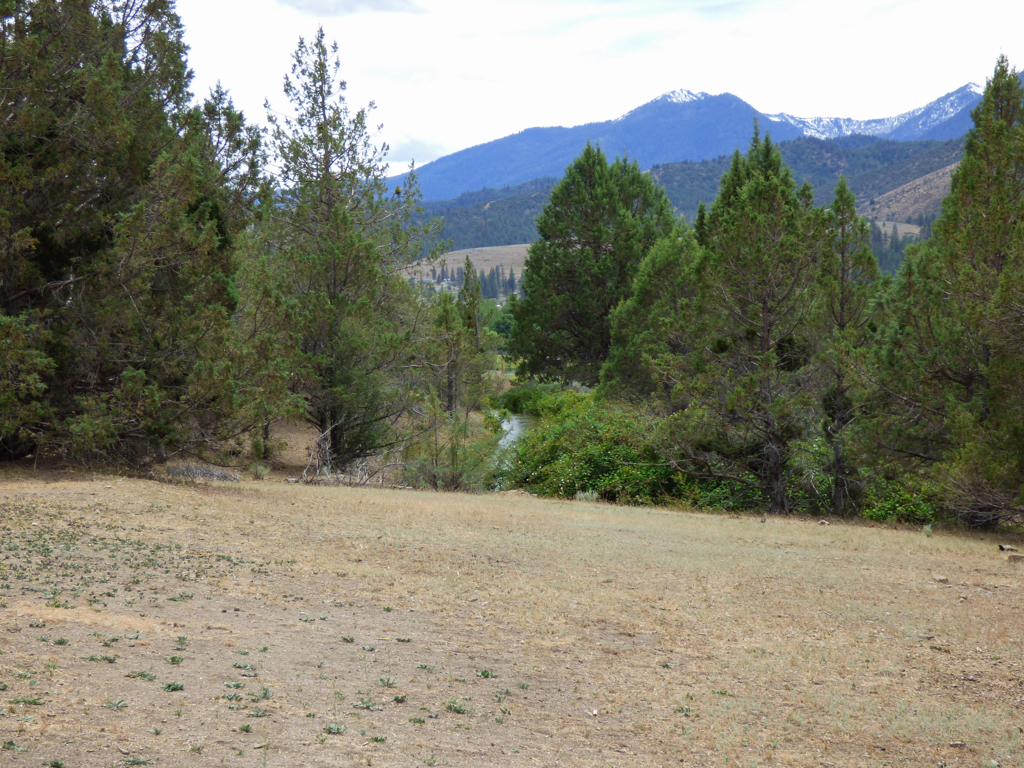 Blacktail Hills Retreat