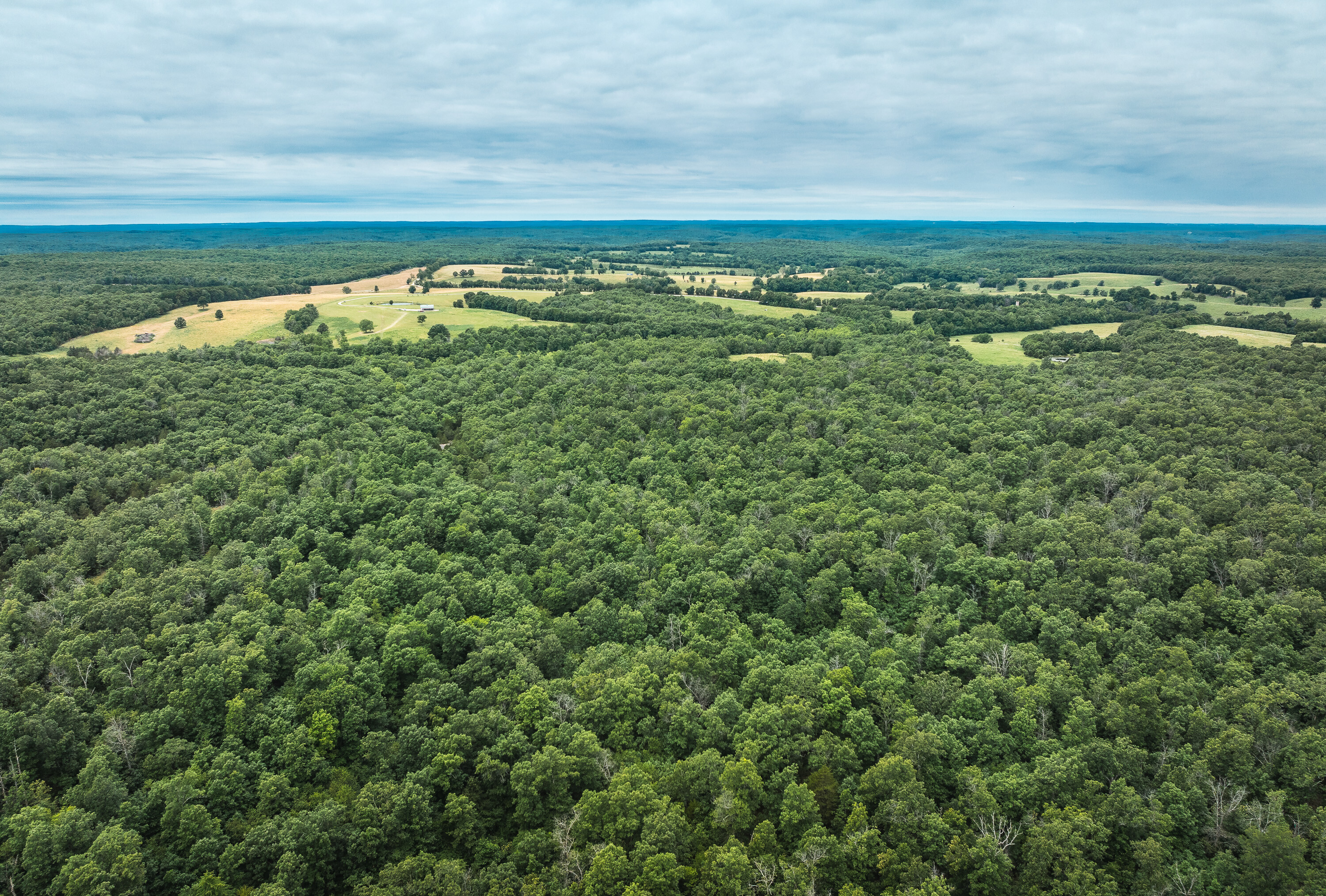 Phelps County Land & Timber 2 Tracts