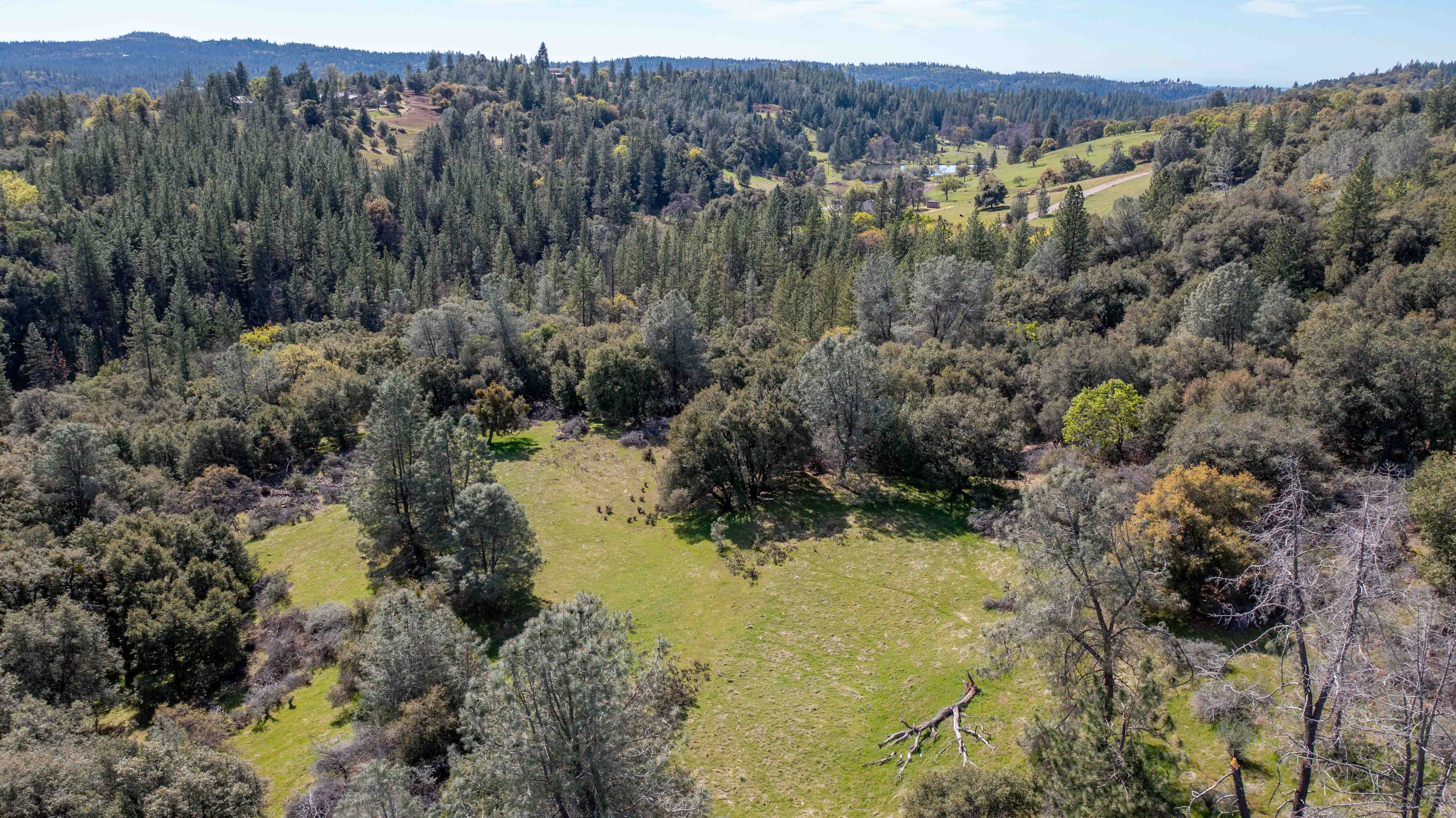 Listing Image 41
