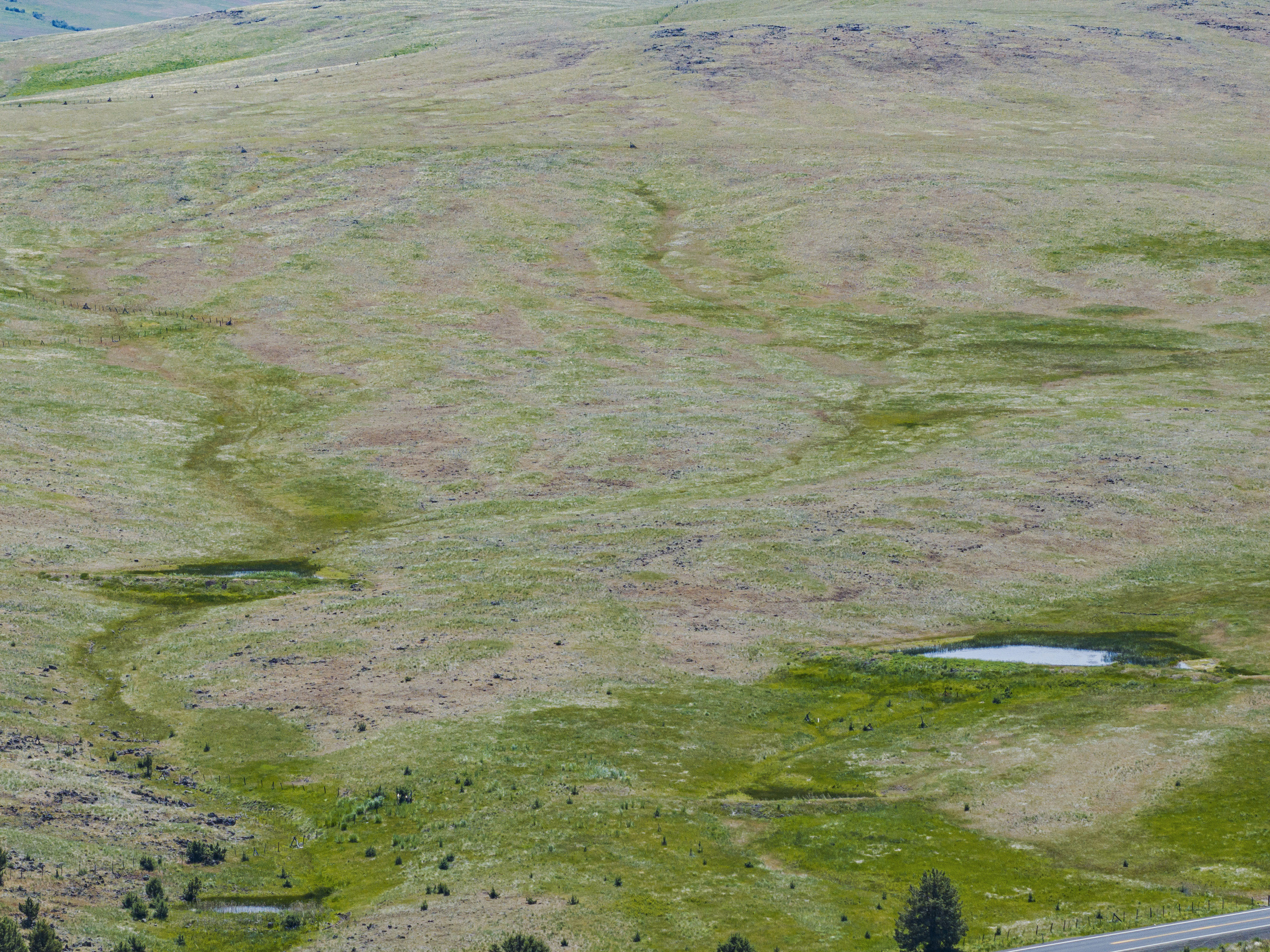Listing Image 42