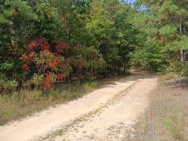 Whitacre Run Retreat