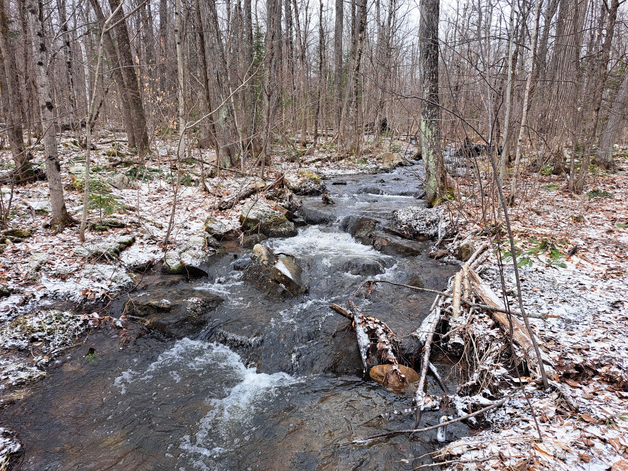 Listing Image 18