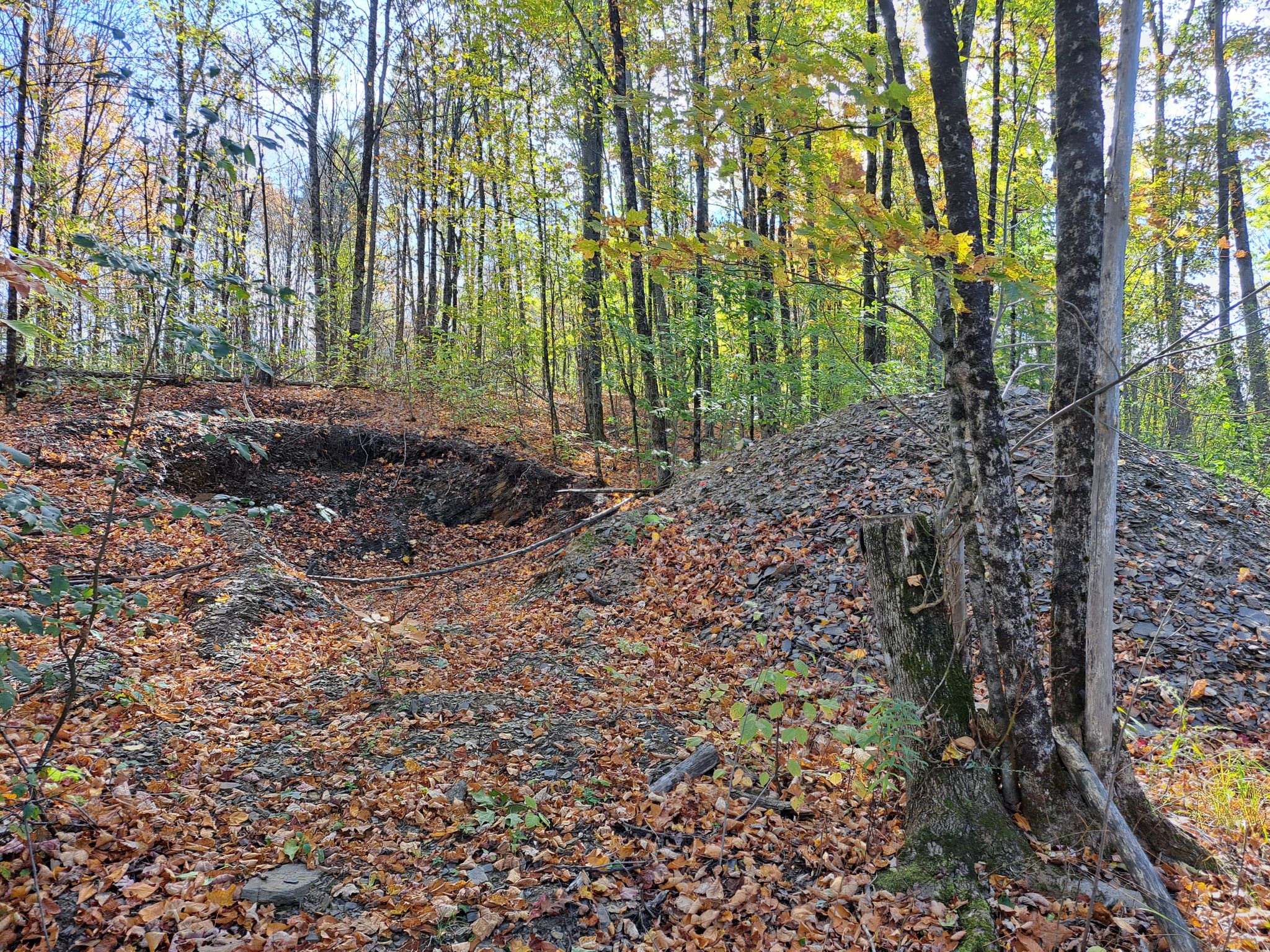 Listing Image 73