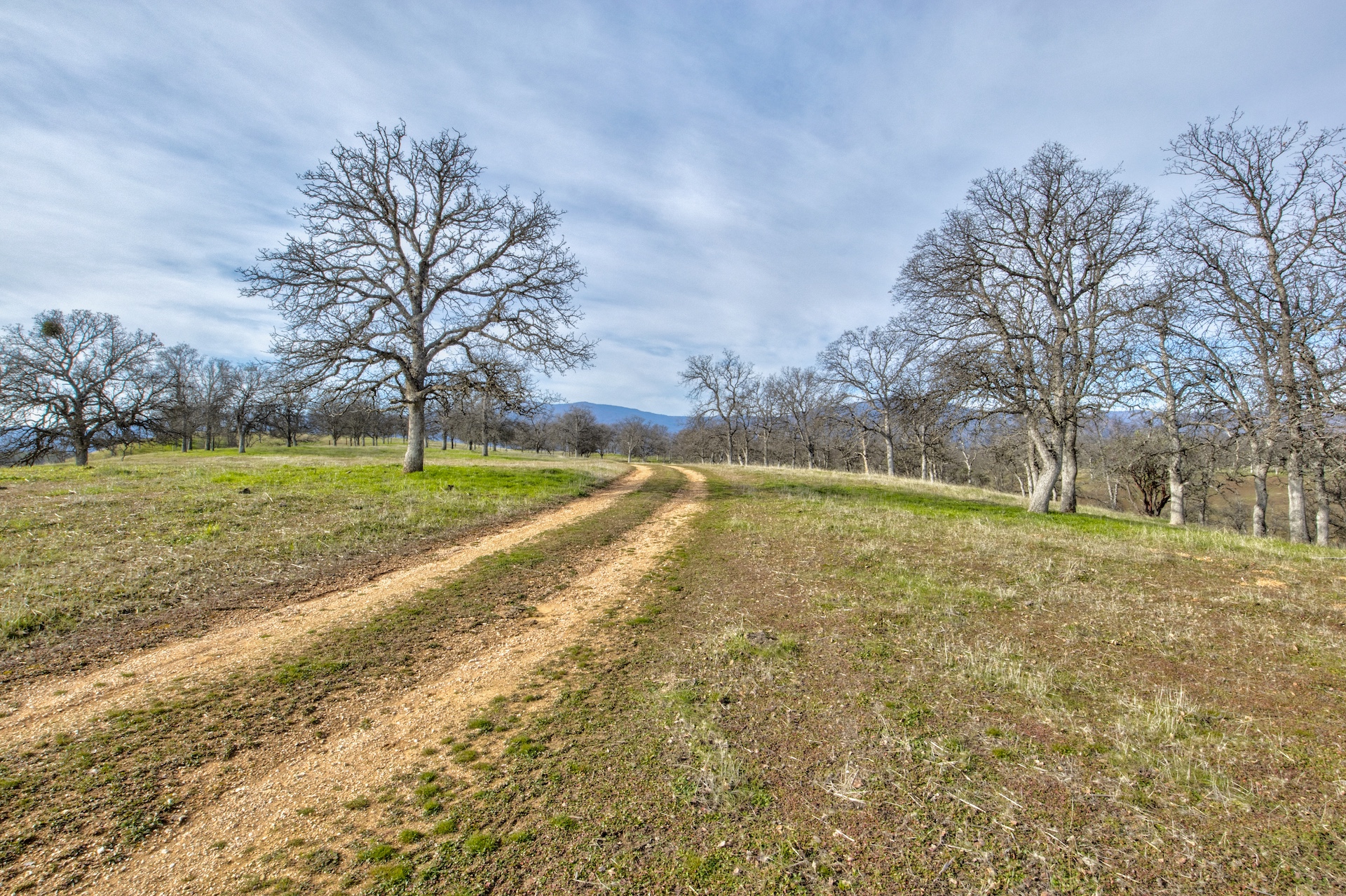 Elk Creek Ranchette