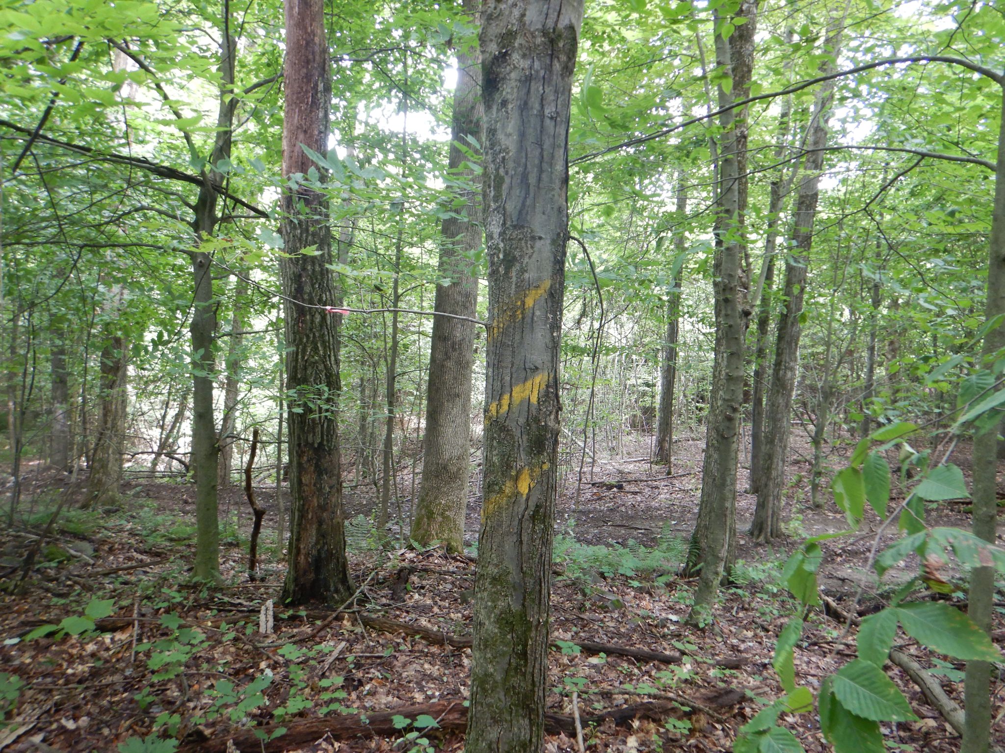 Listing Image 25