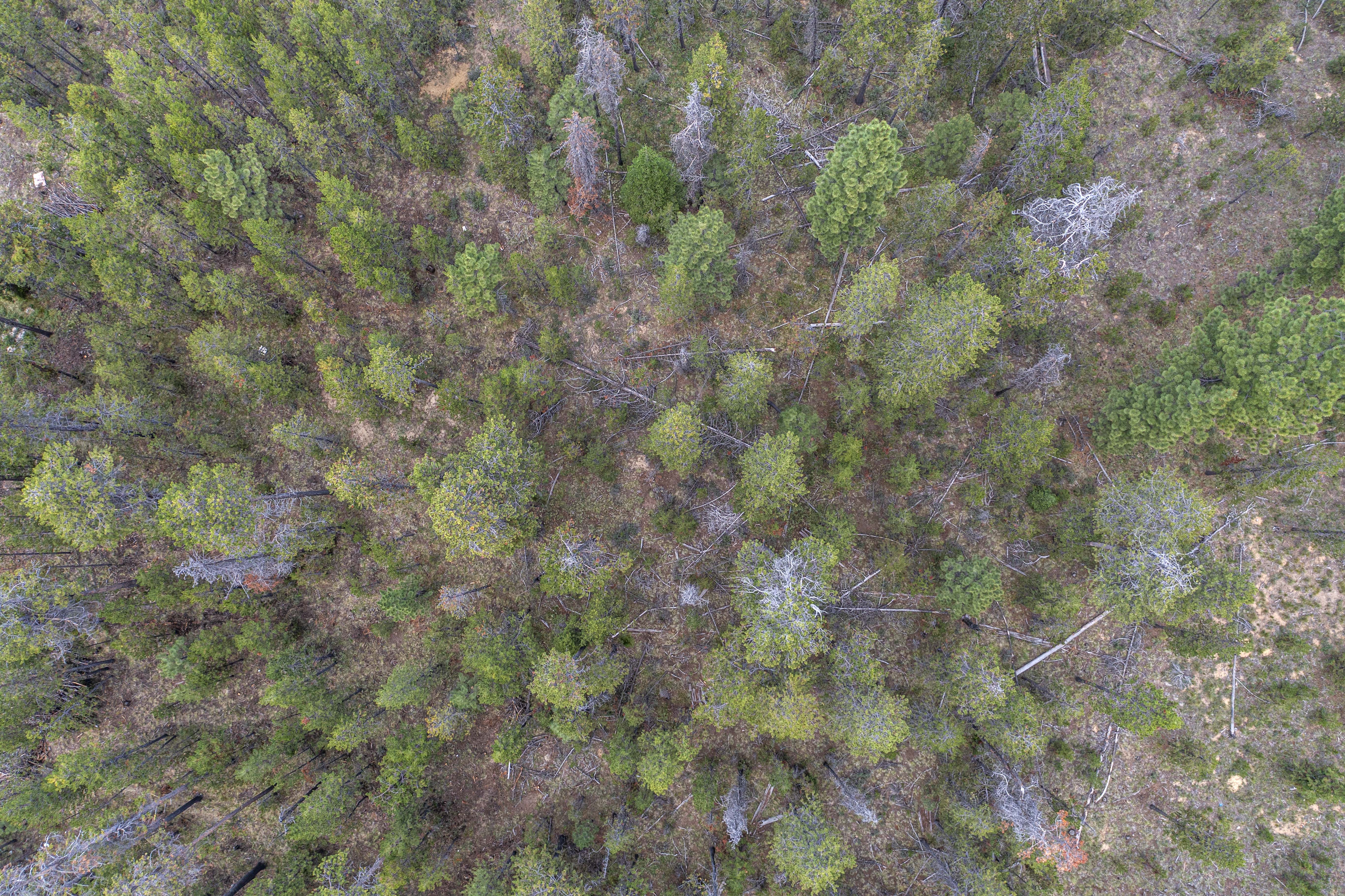 16927 Upland Rd – A Recreational Canvas in the Heart of Central Oregon
