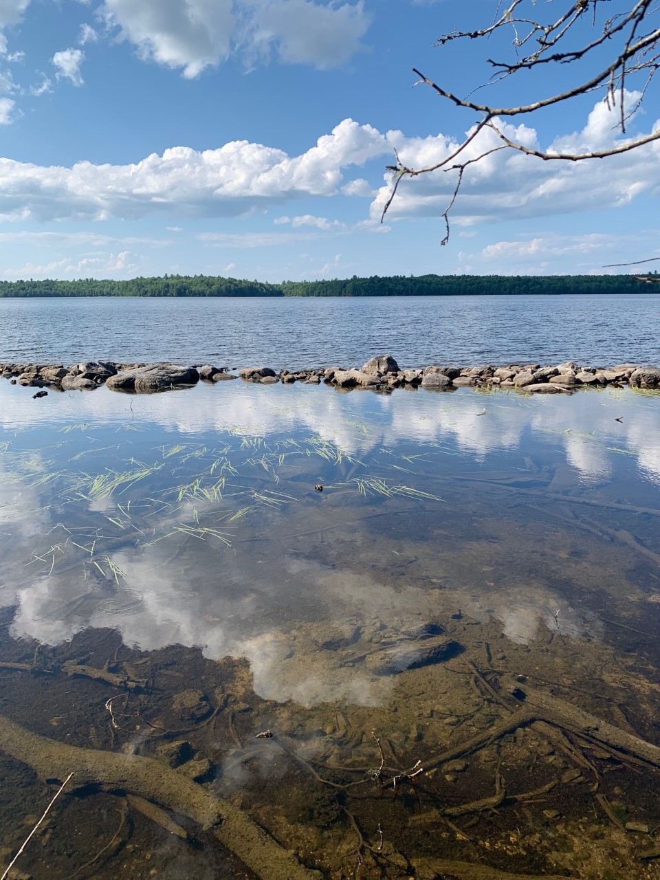 Long Lake Lot
