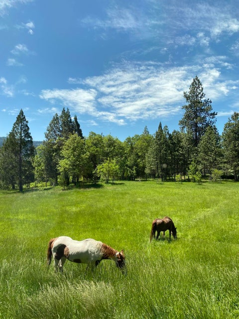 Listing Image 38