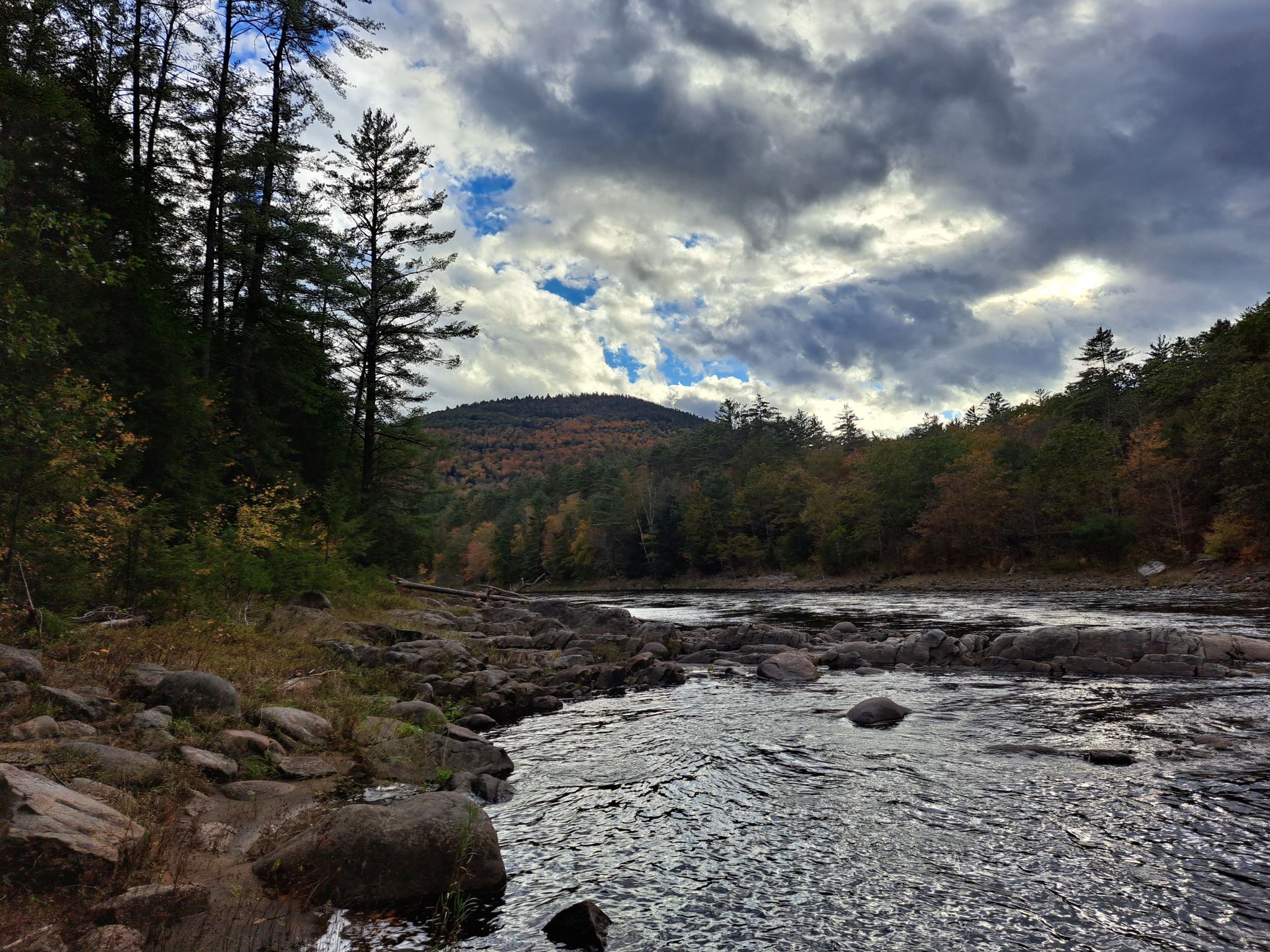 Hudson River Woods & Water