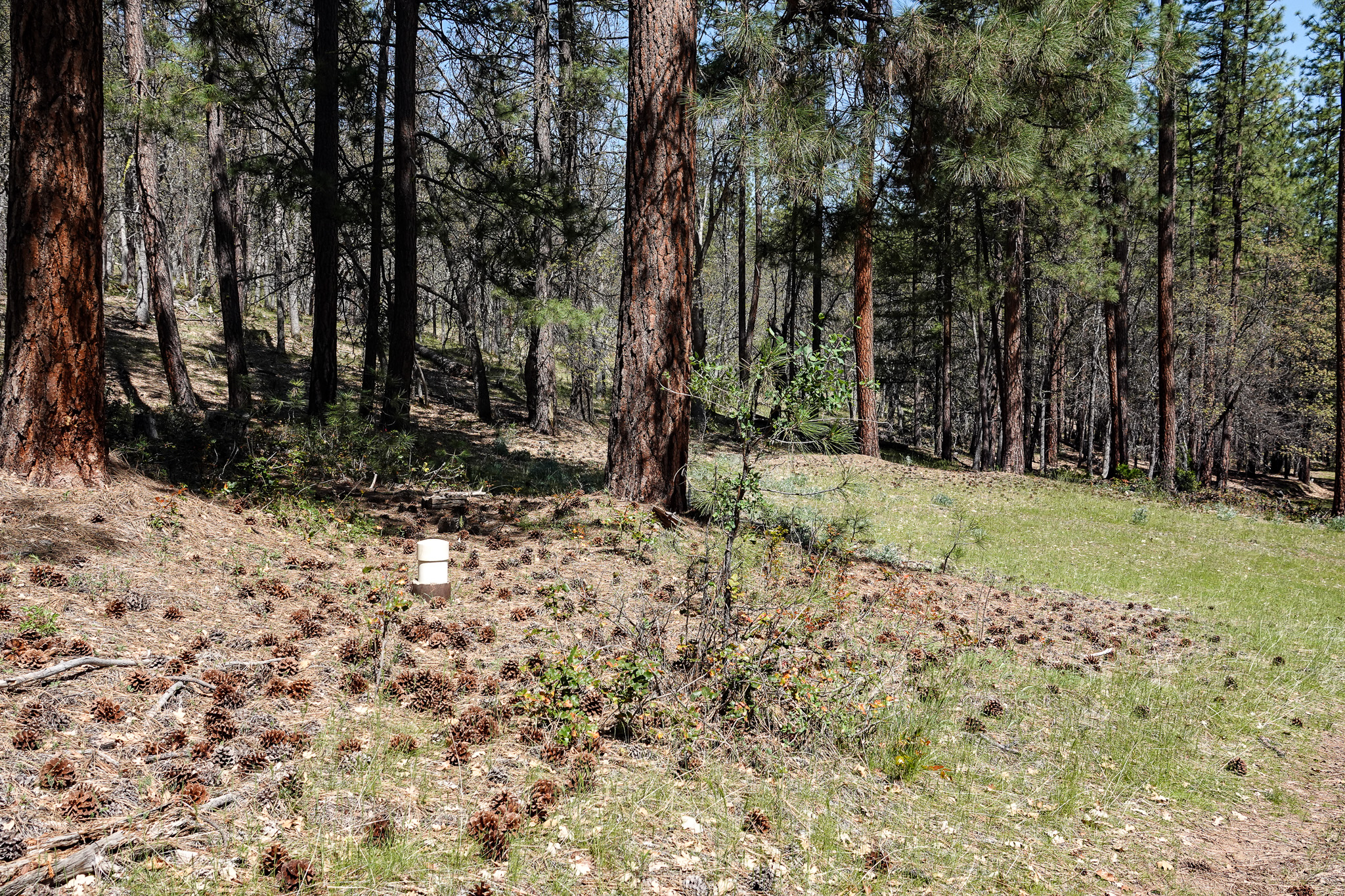East Road Ragland Gulch Acreage