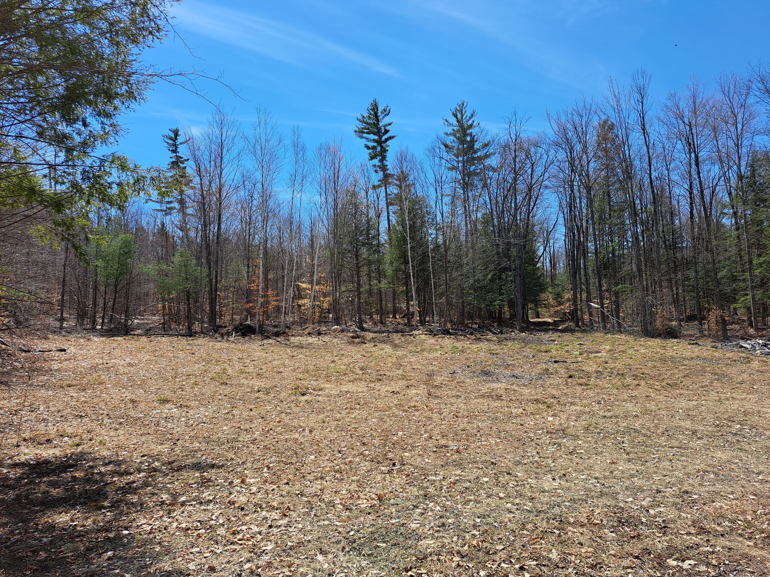 Listing Image 30