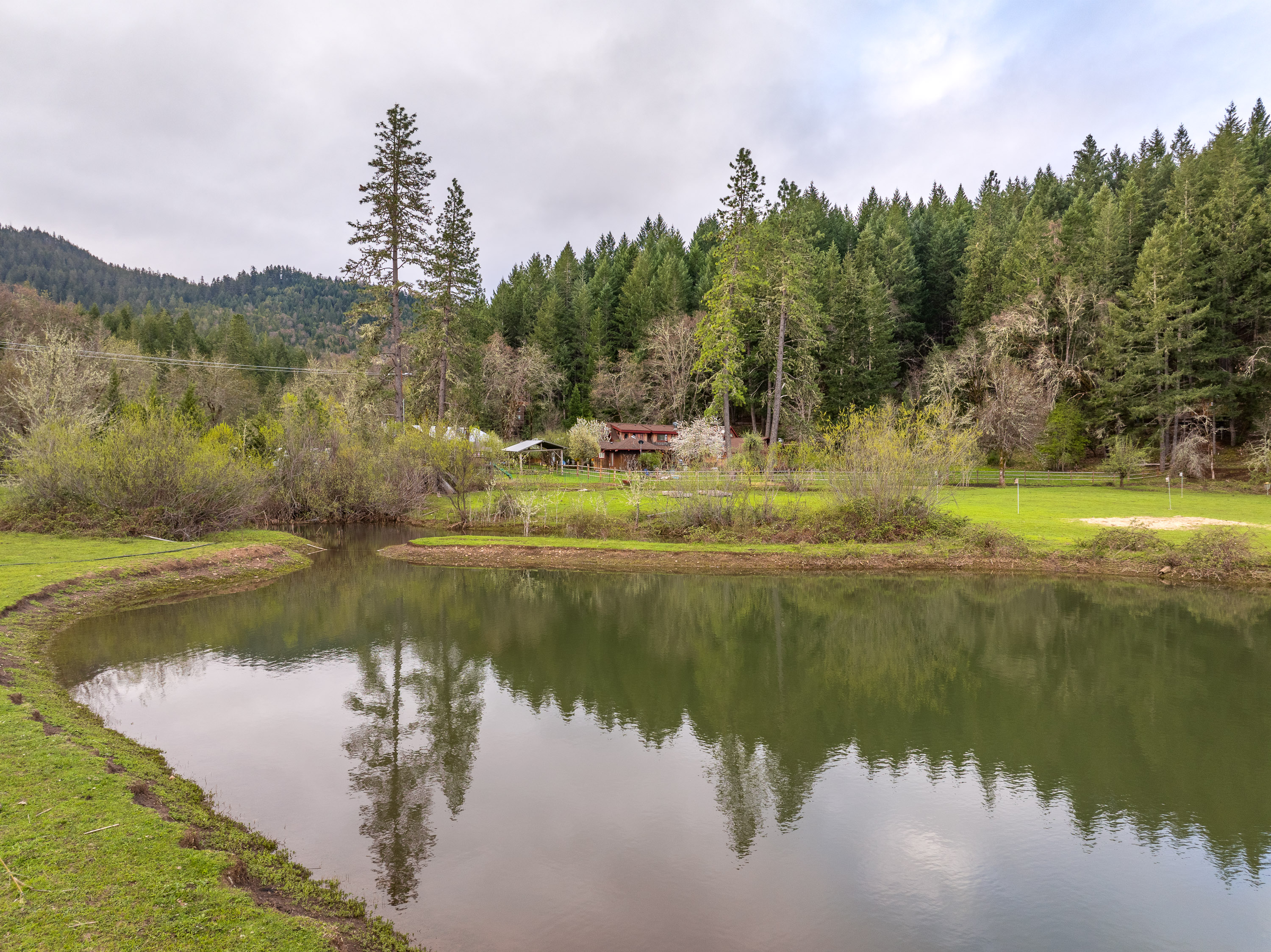 Listing Image 64