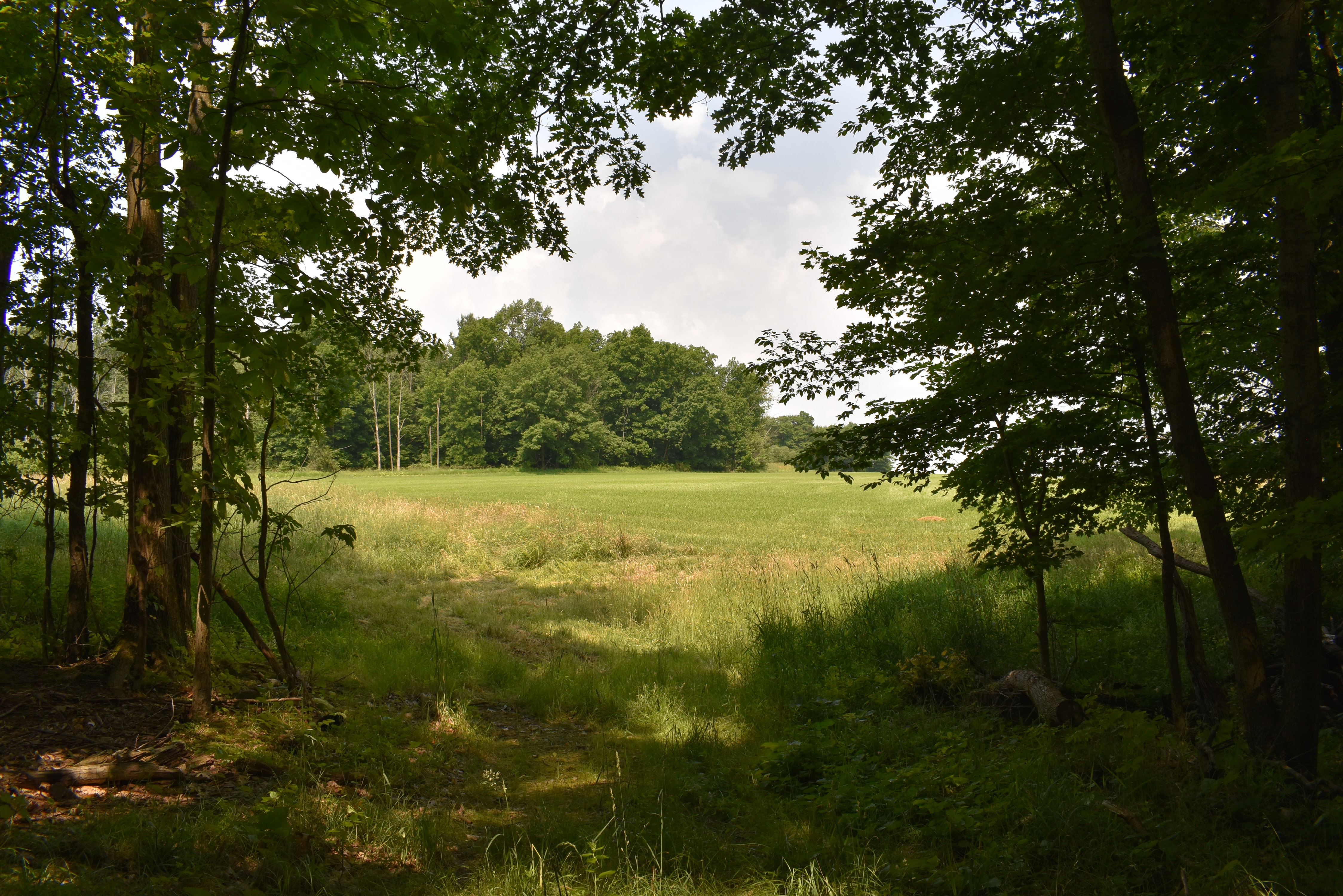 Listing Image 70
