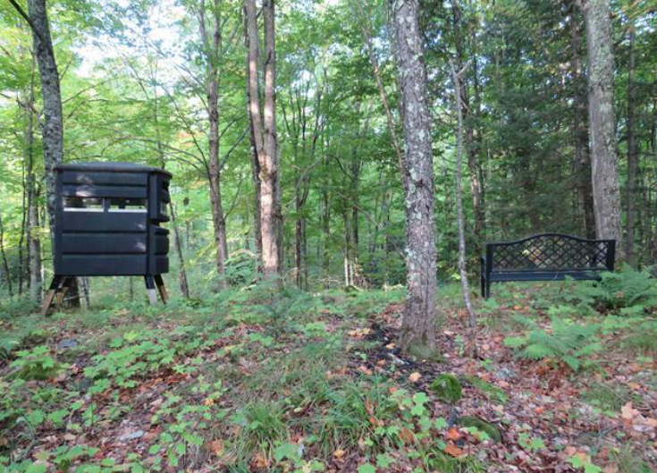 Listing Image 8