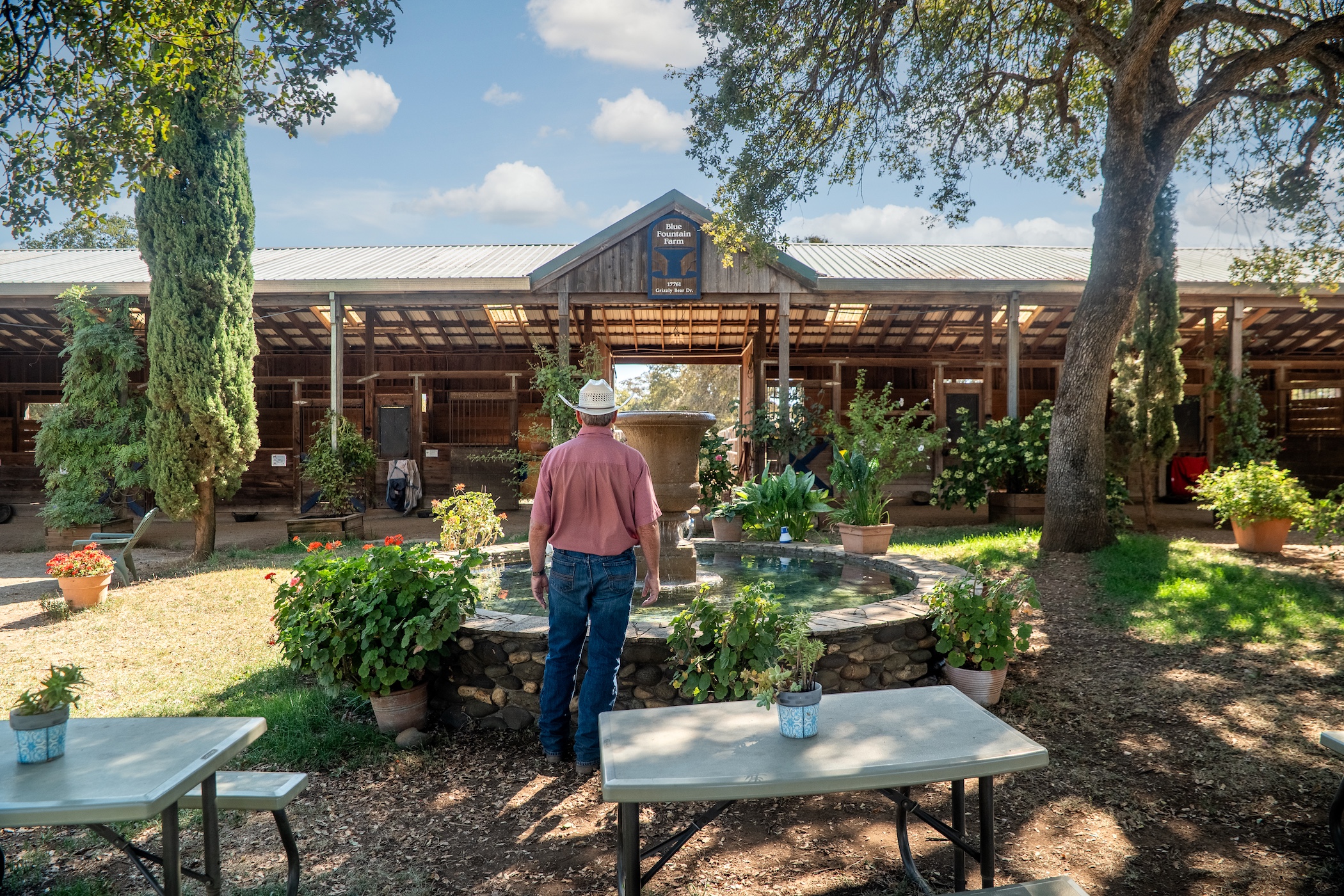 Blue Fountain Farm