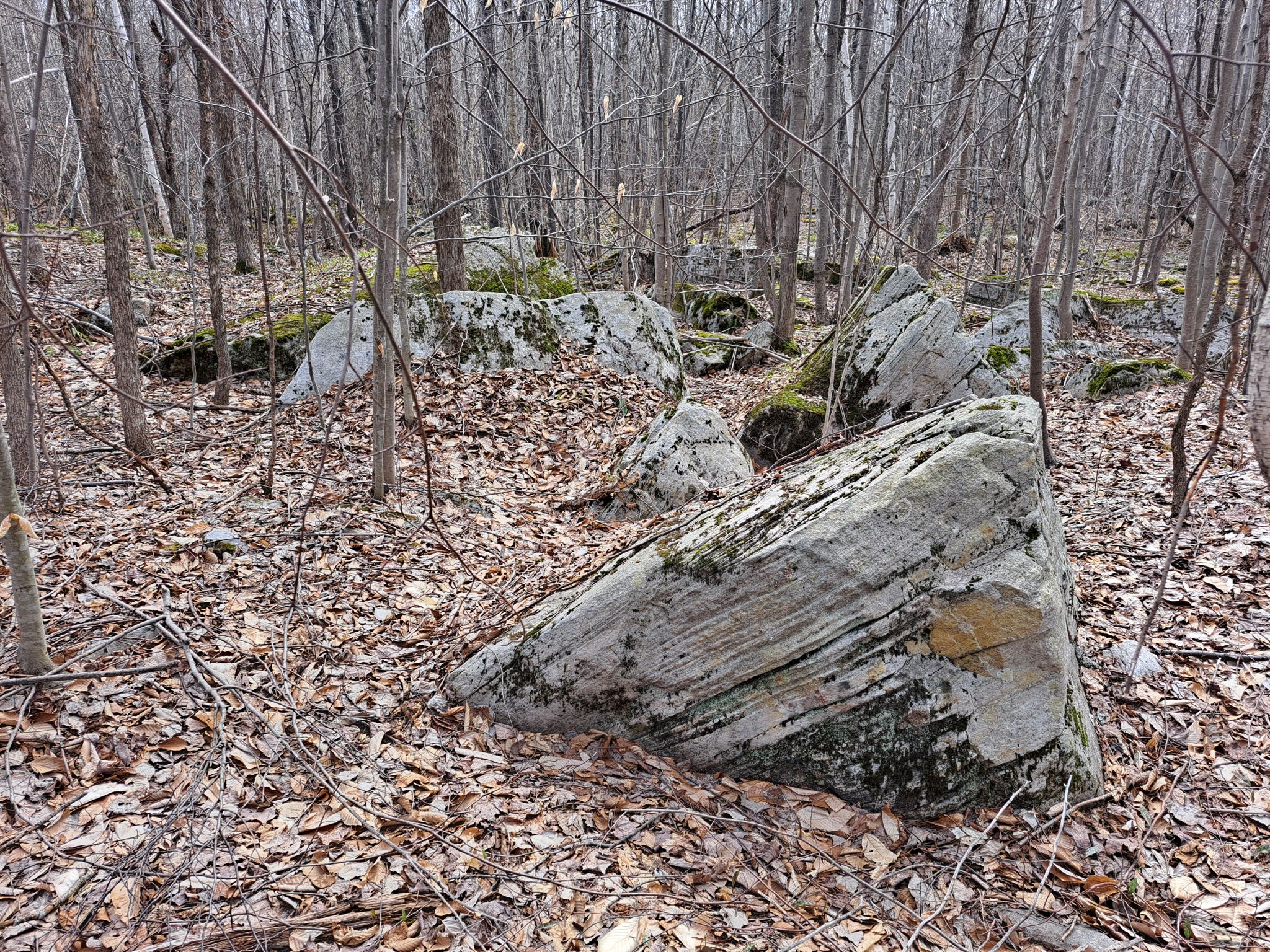 Listing Image 36