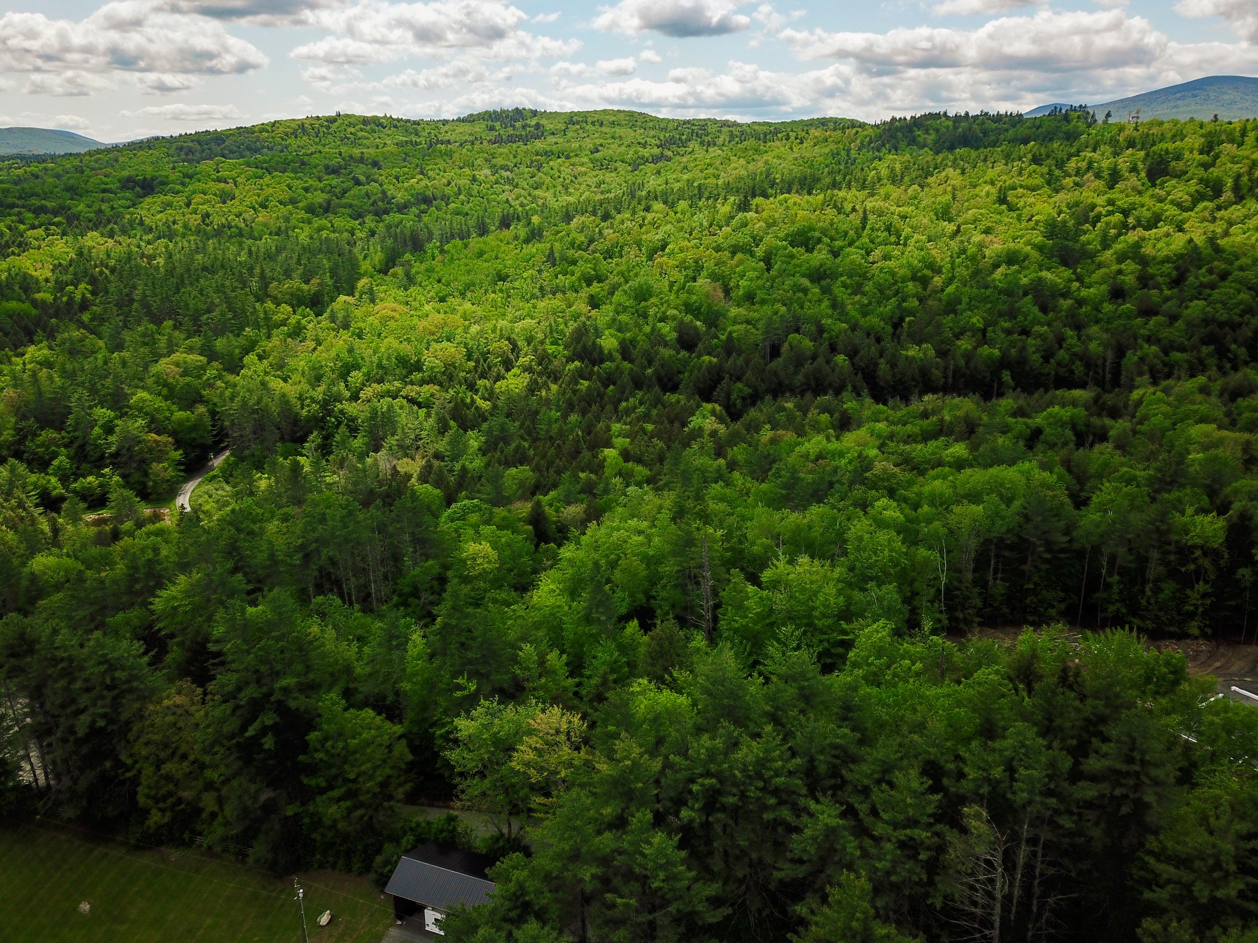 184 Schoolhouse Rd Jamaica