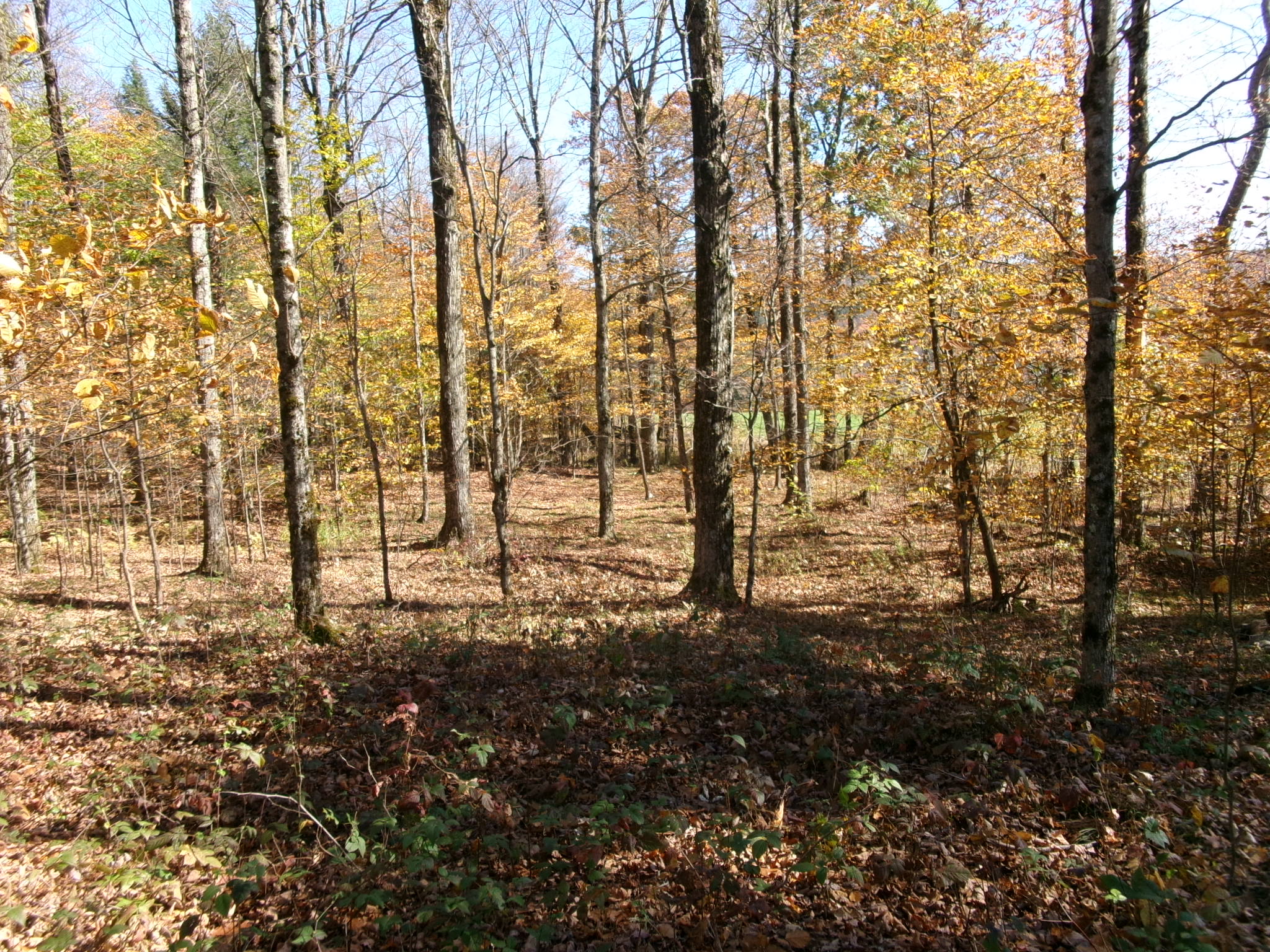 Listing Image 29