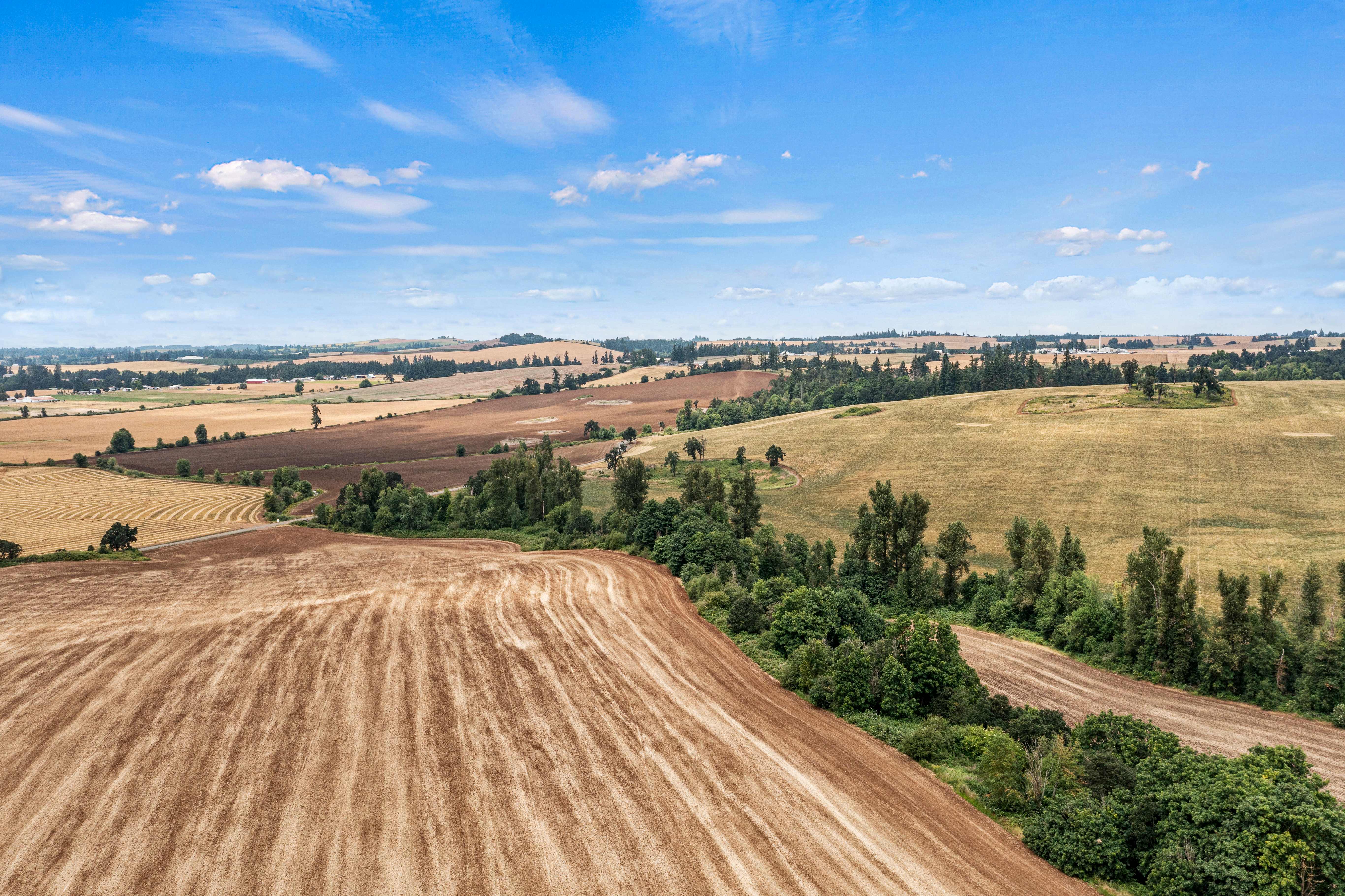 Sublimity 152 — Productive Willamette Valley Farm for Sale with Creek Frontage and Homesite Potential