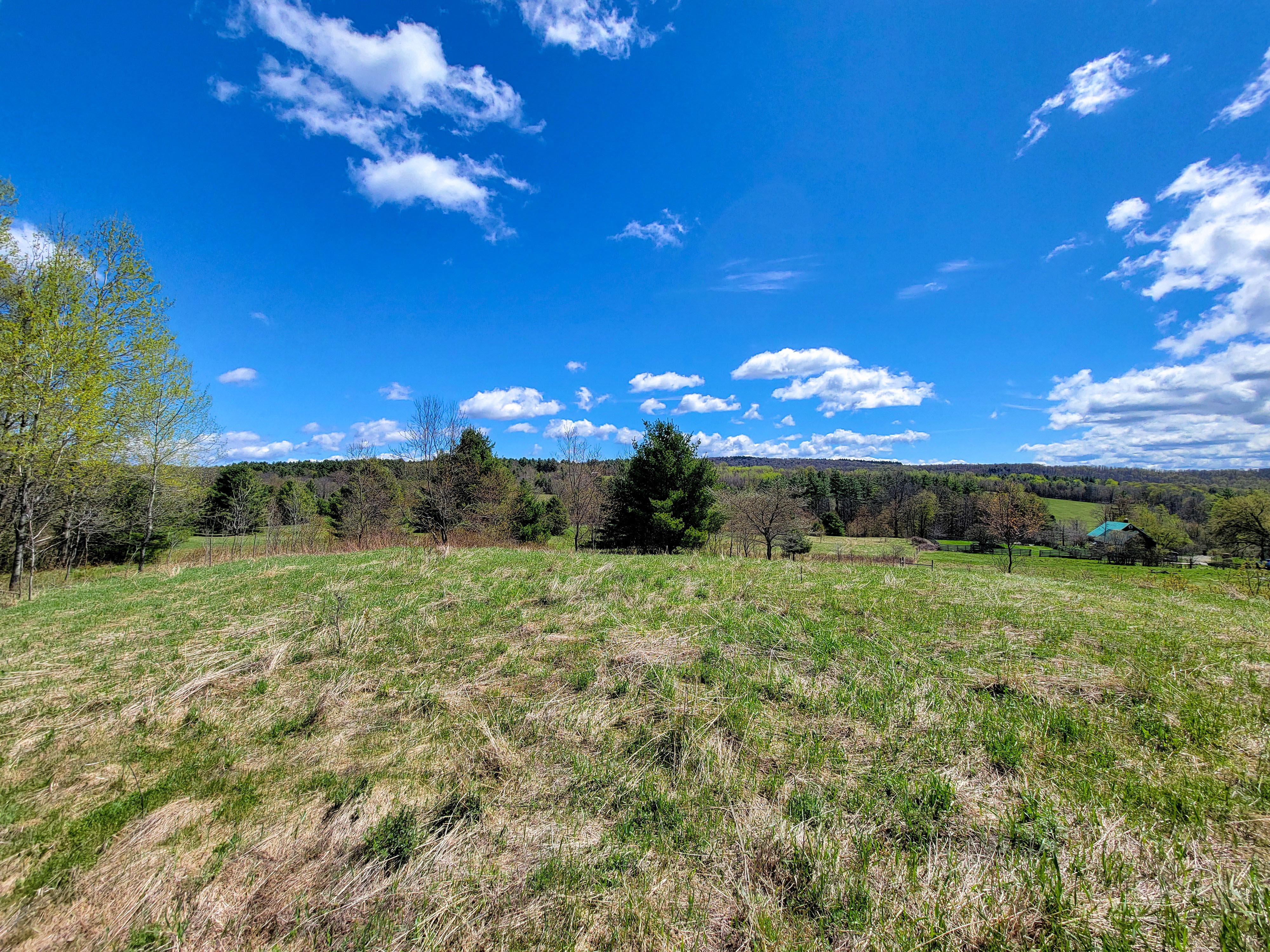 Listing Image 42