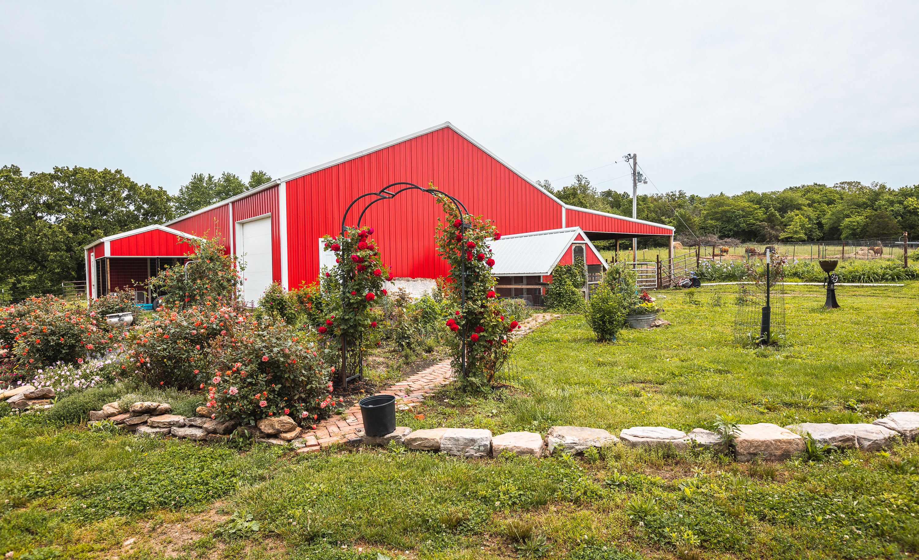 Gasconade Angus Ranch