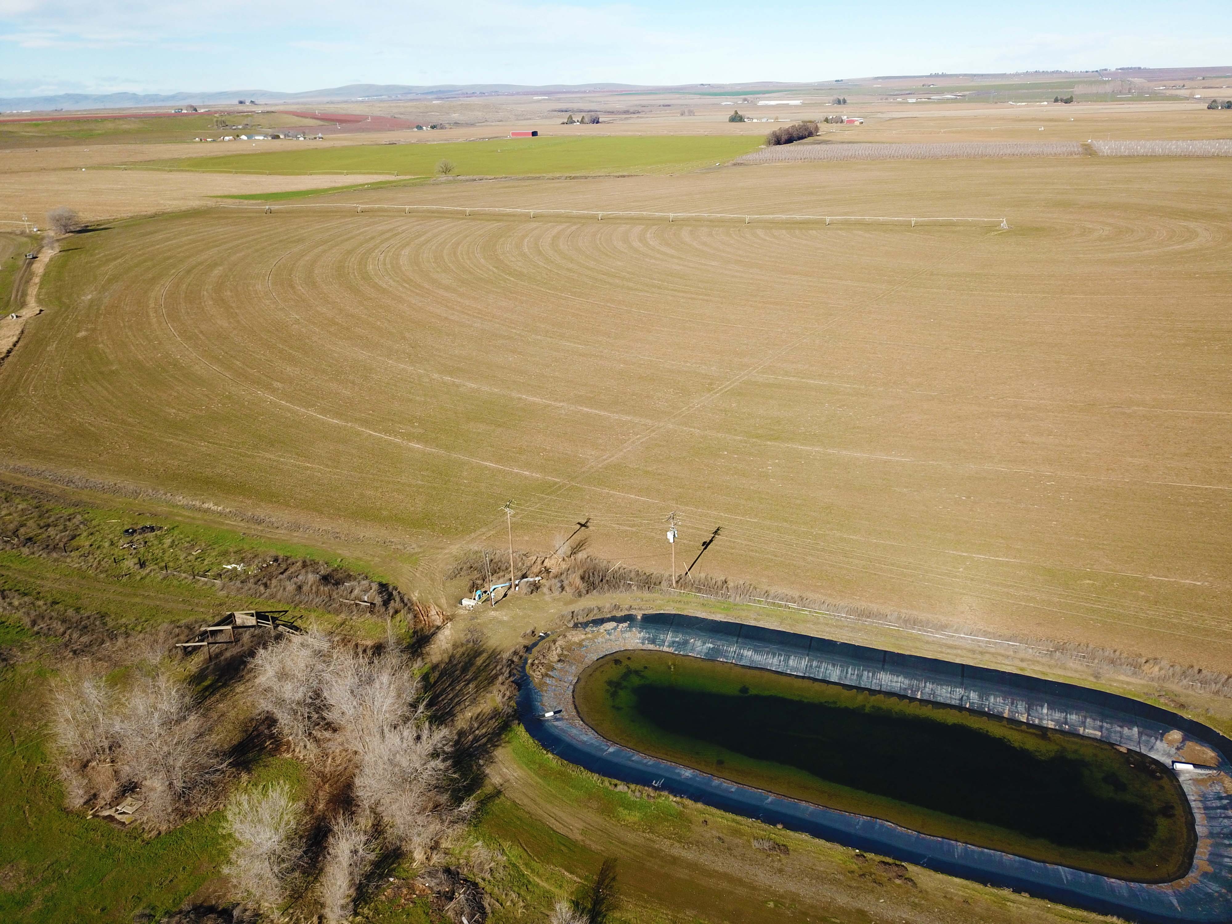 Fern Road Irrigated farm