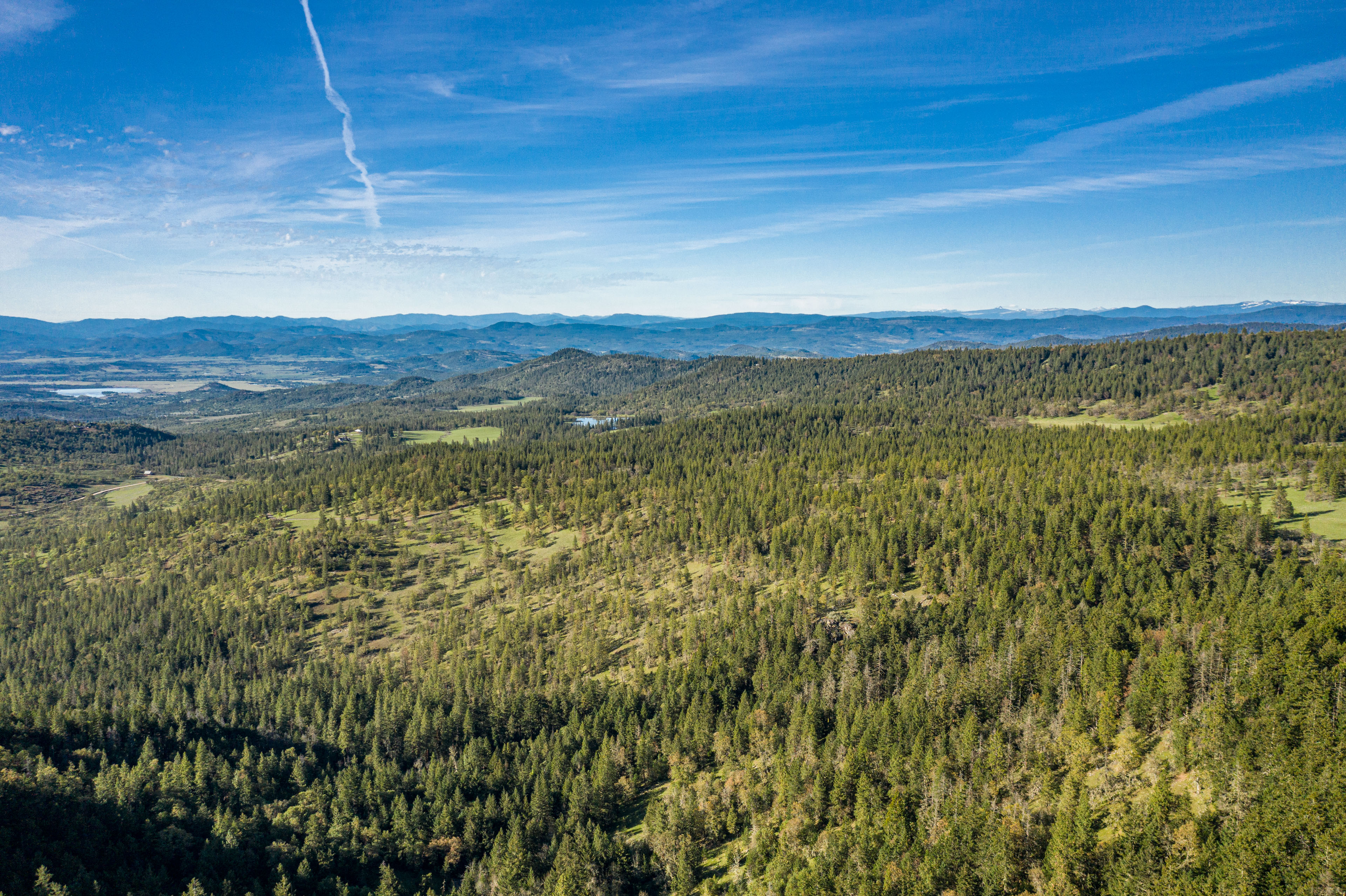 Mount Baldy Ranch