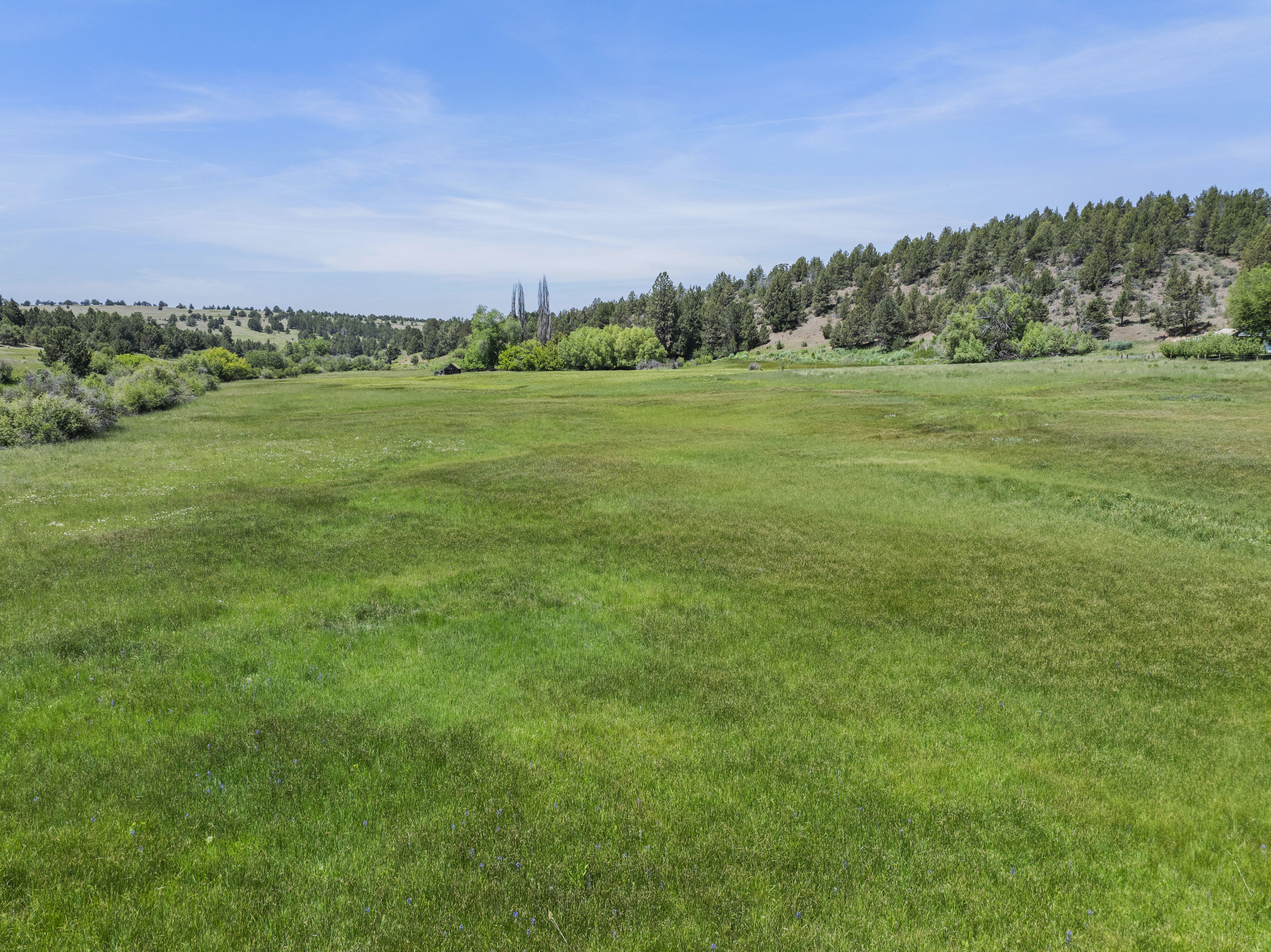 Listing Image 55