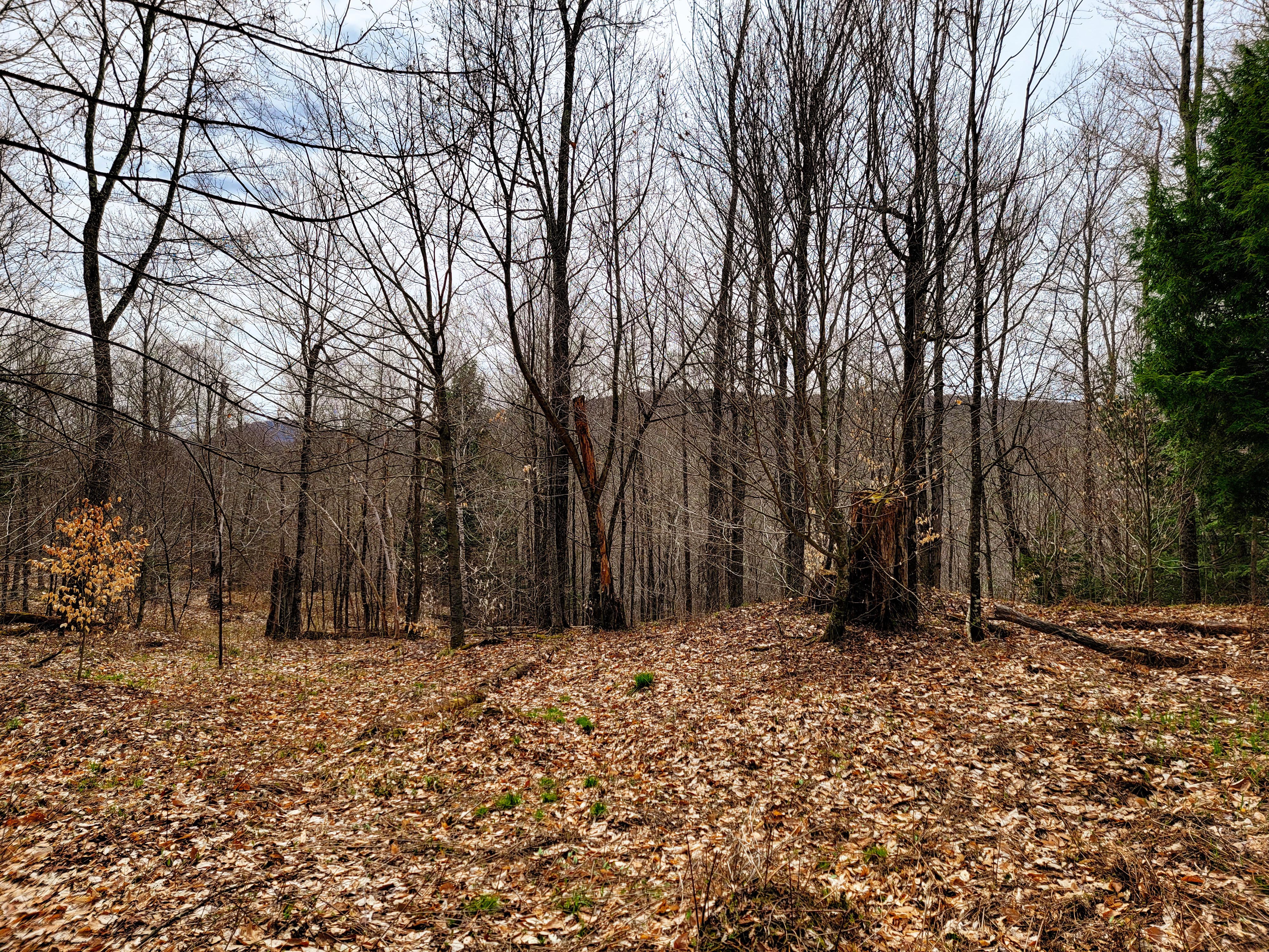 Listing Image 48