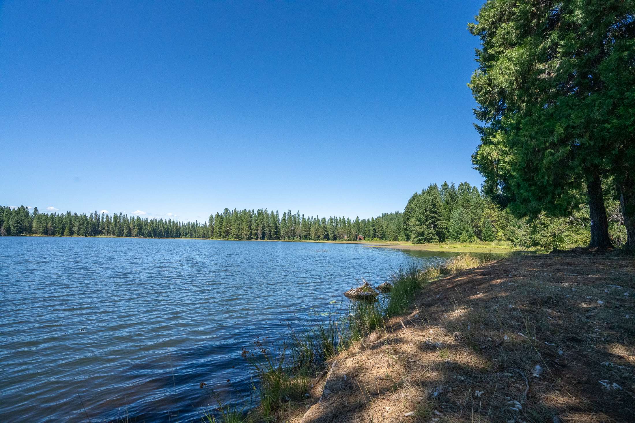Medco Pond- Recreational Retreat